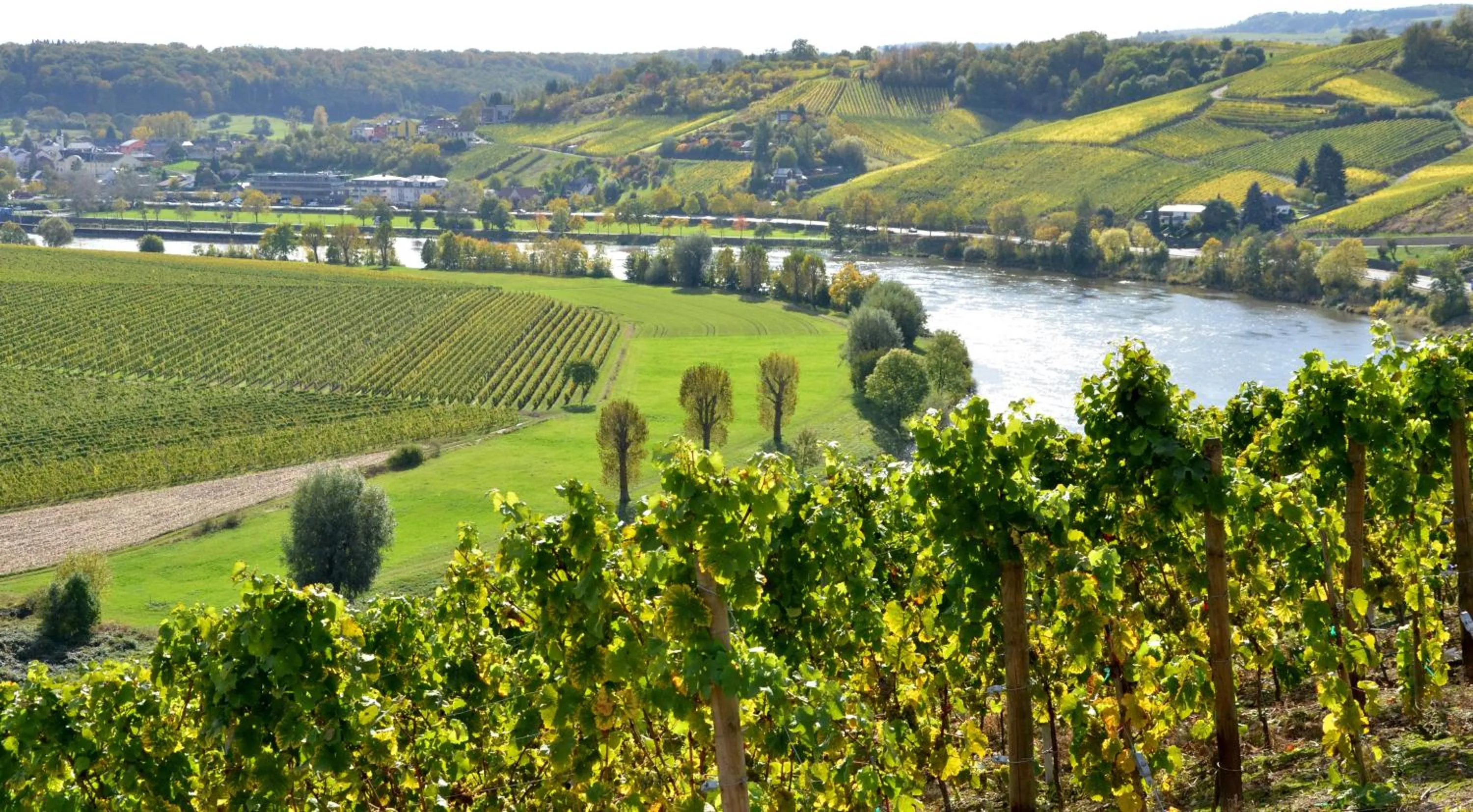 View (from property/room) in Hotel de l'Ecluse Superior