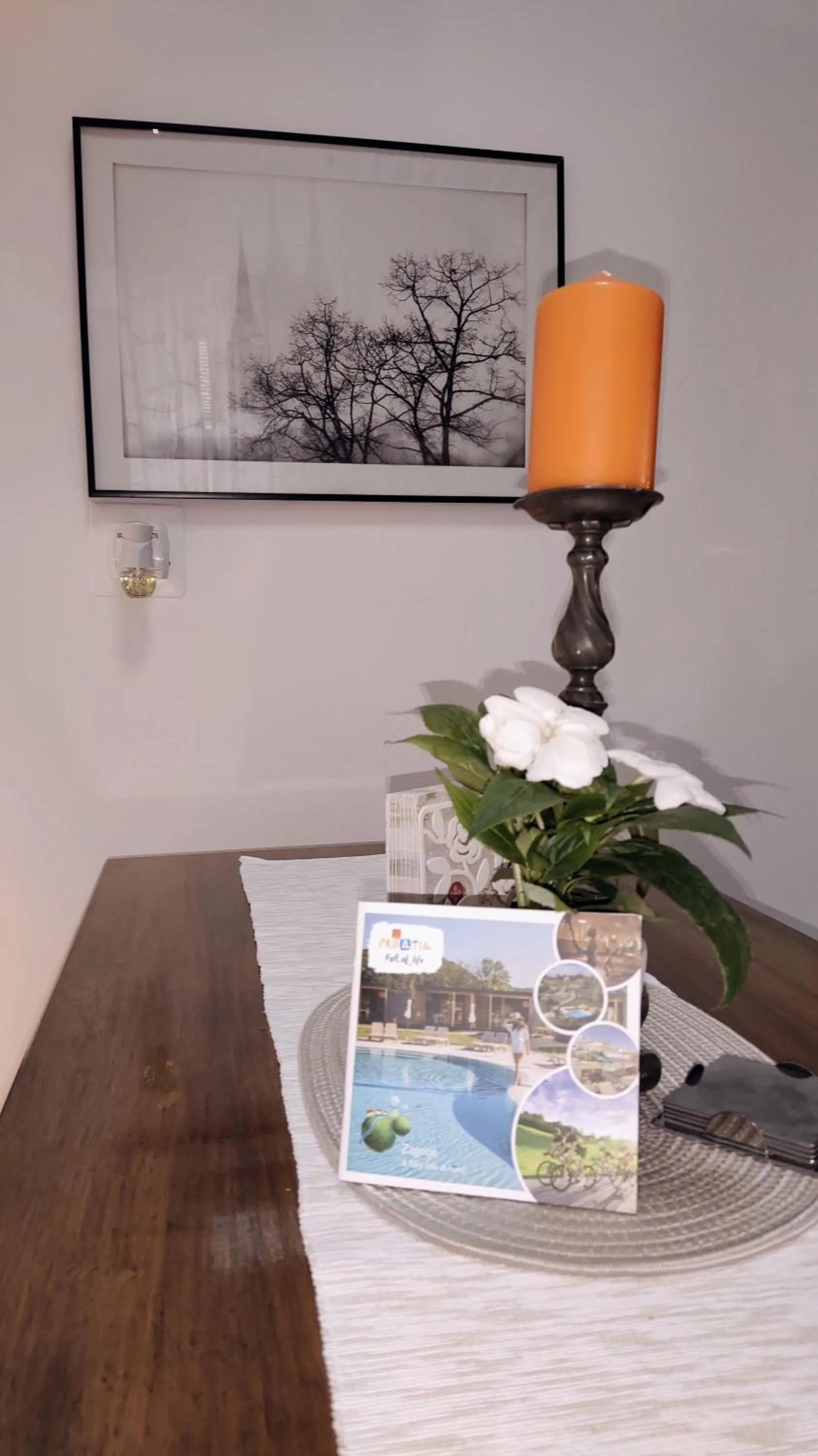 Olive Tree City Apartment