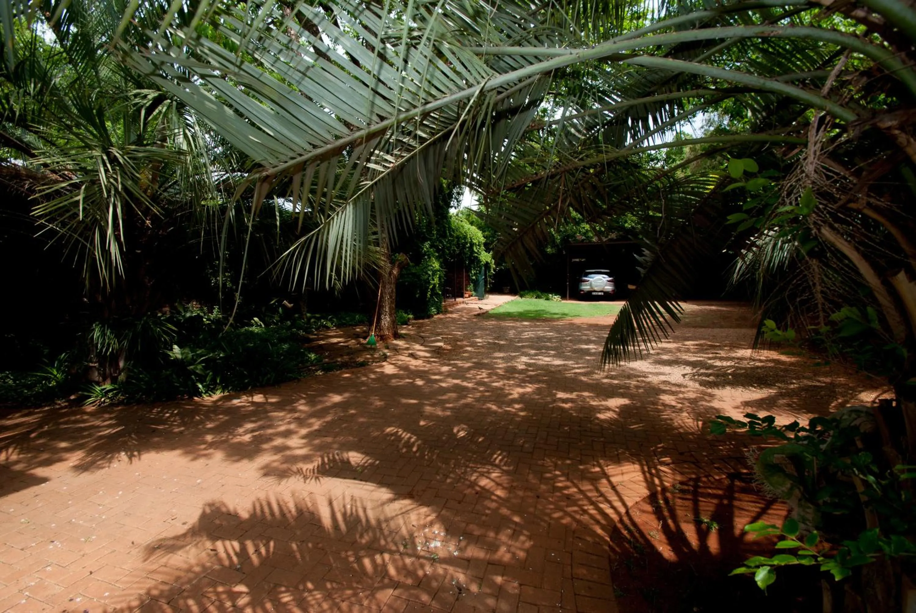 Garden in Huys ten Bosch