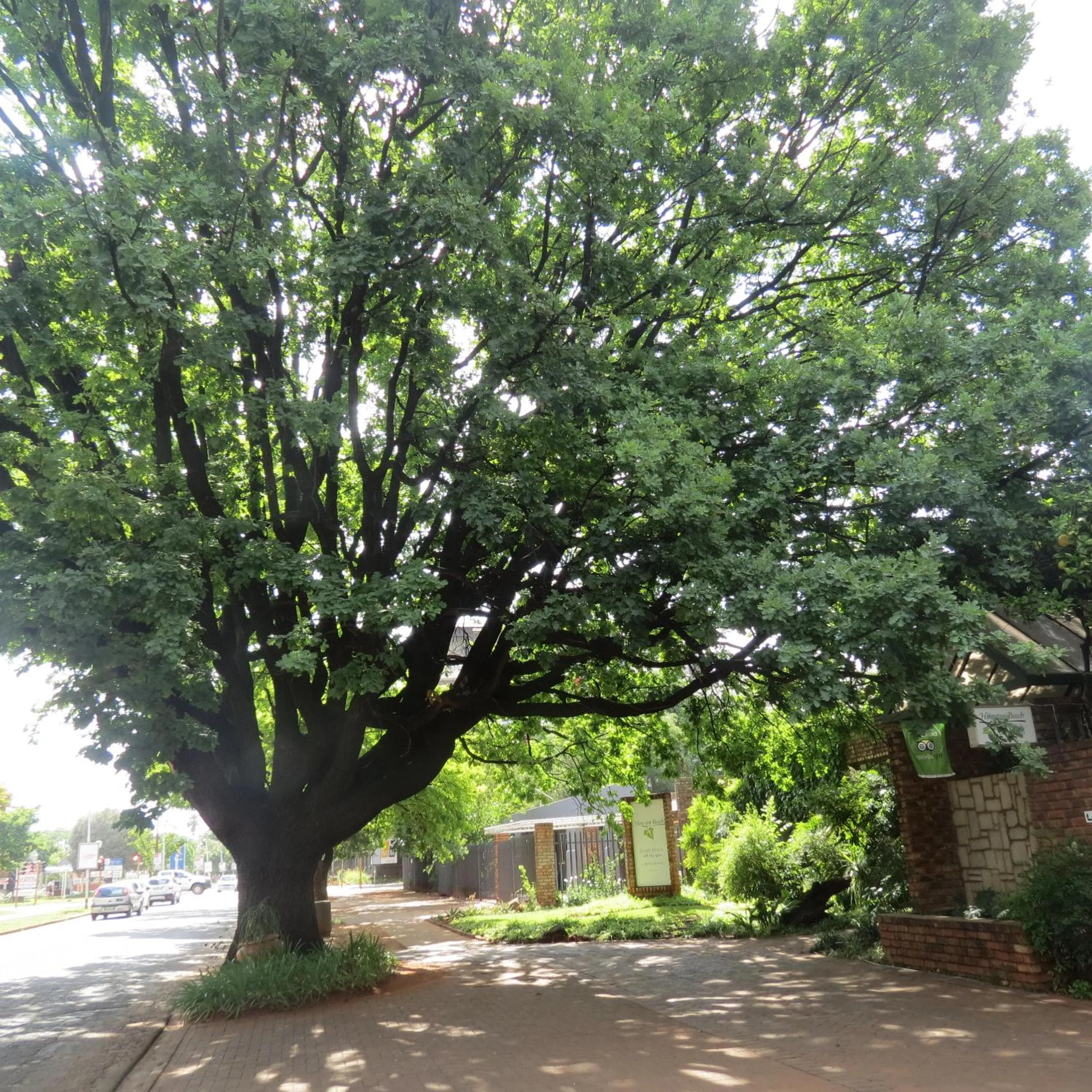 Street view in Huys ten Bosch