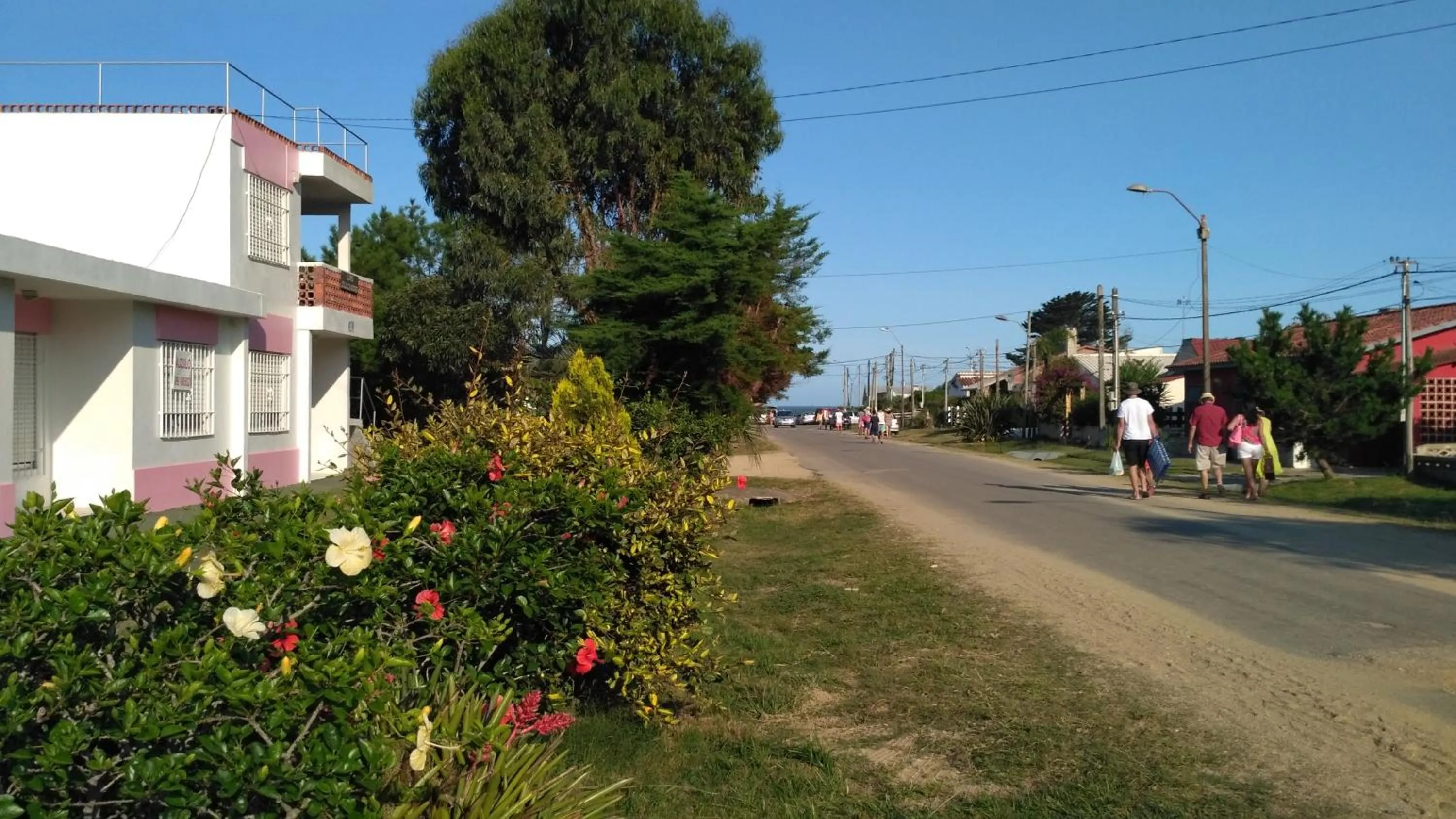Las Dulcineas
