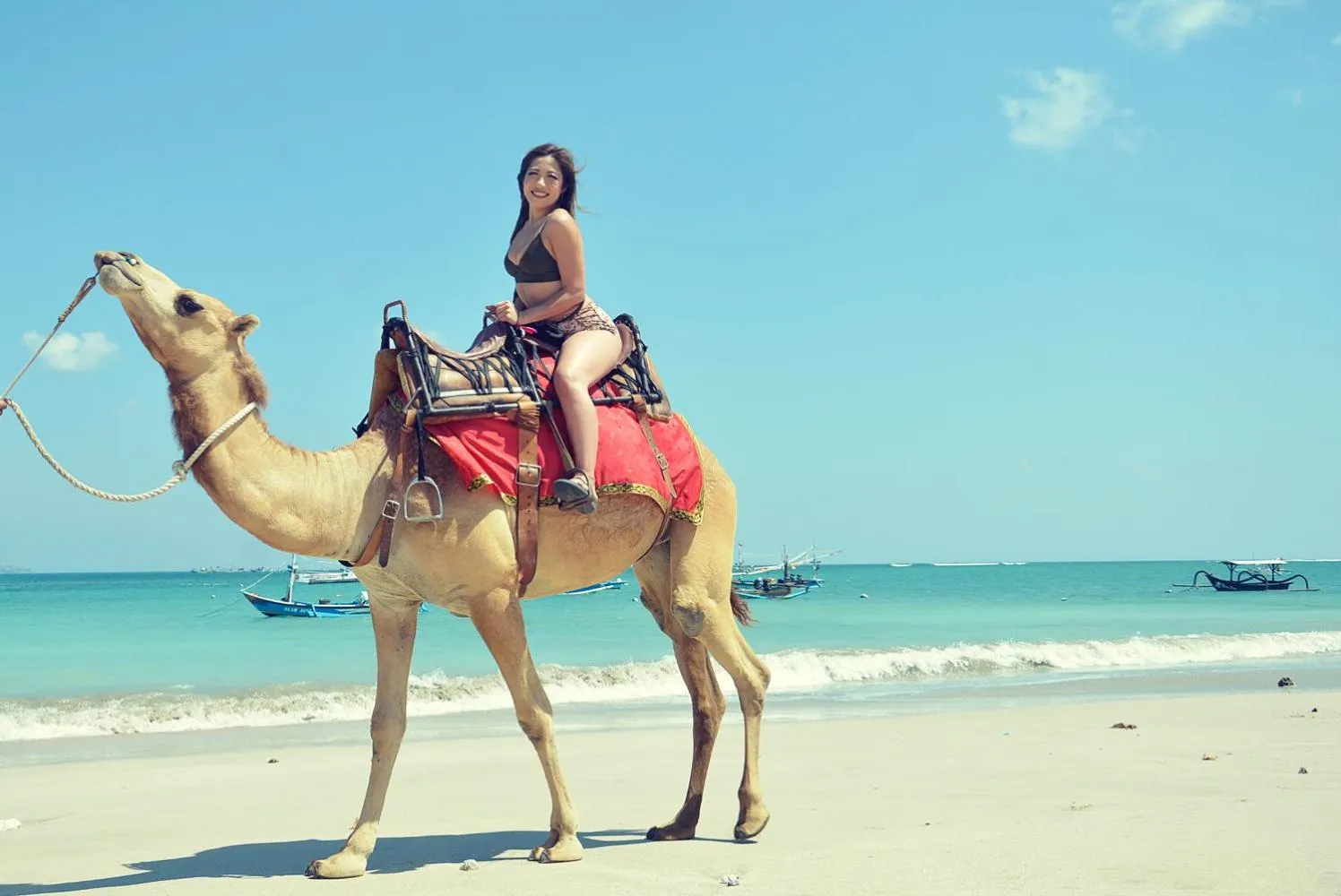 Animals in FOX Hotel Jimbaran Beach Bali