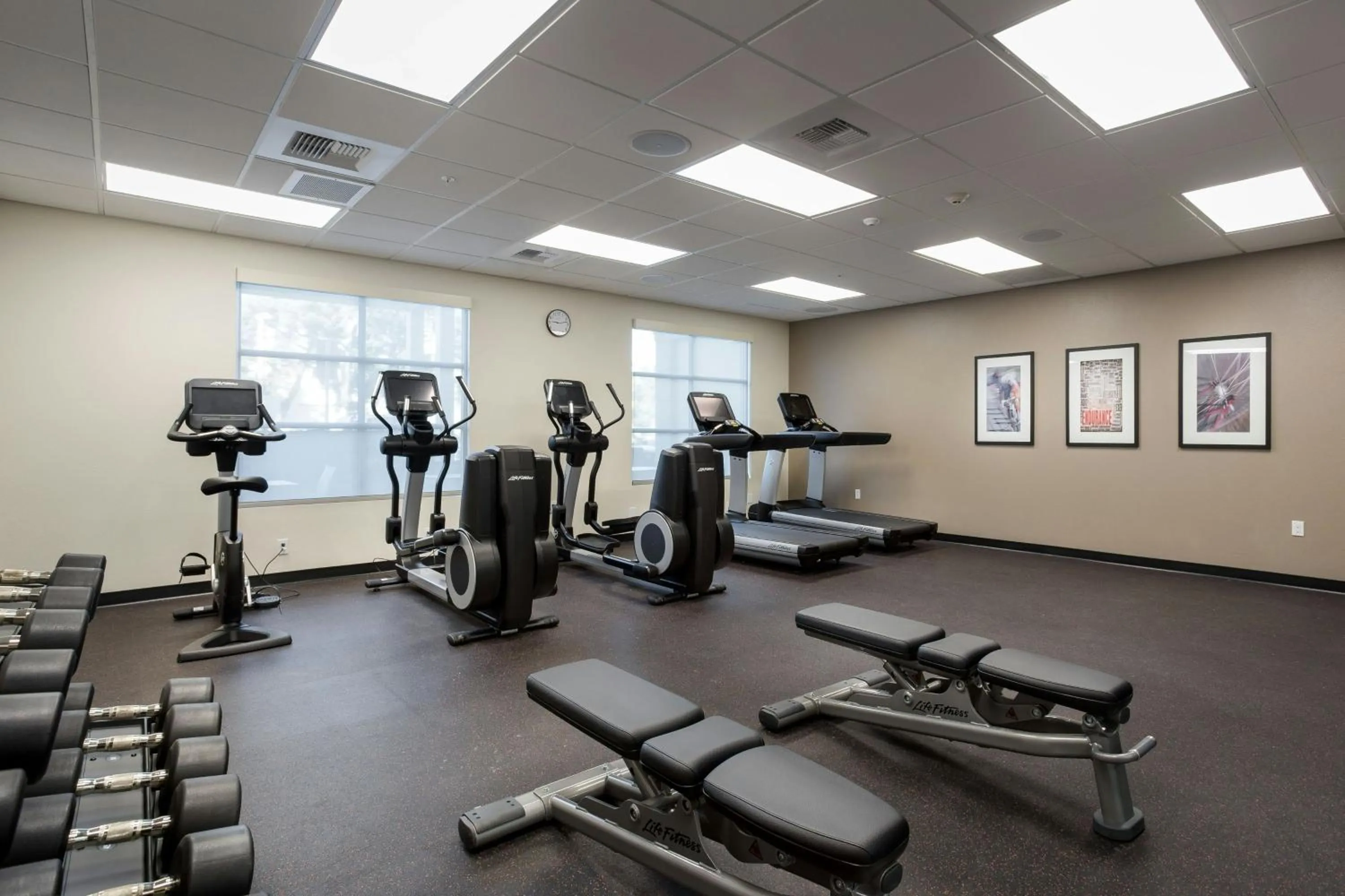Fitness centre/facilities in TownePlace Suites by Marriott San Mateo Foster City