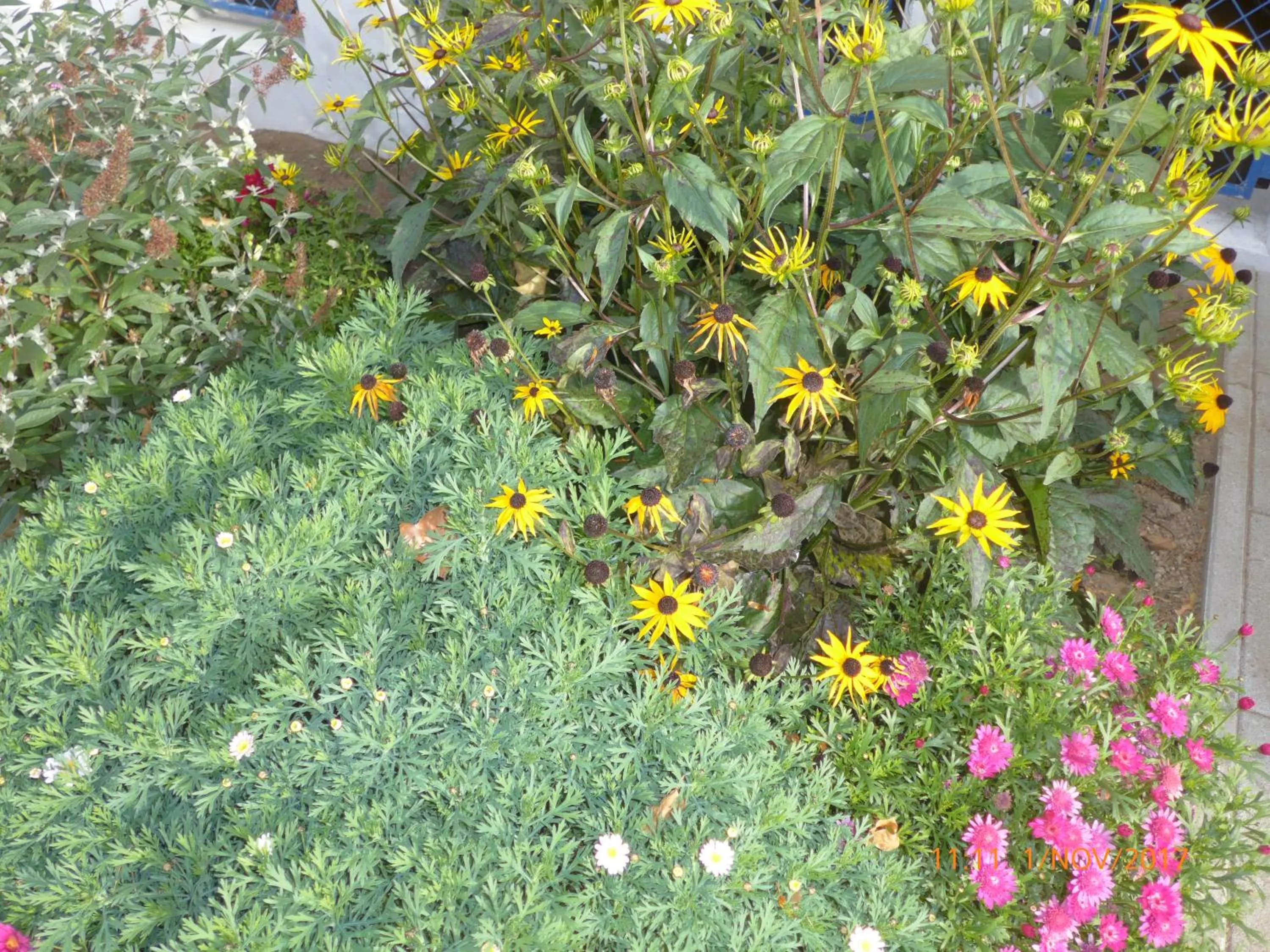 Facade/entrance in Kolpinghaus Spittal