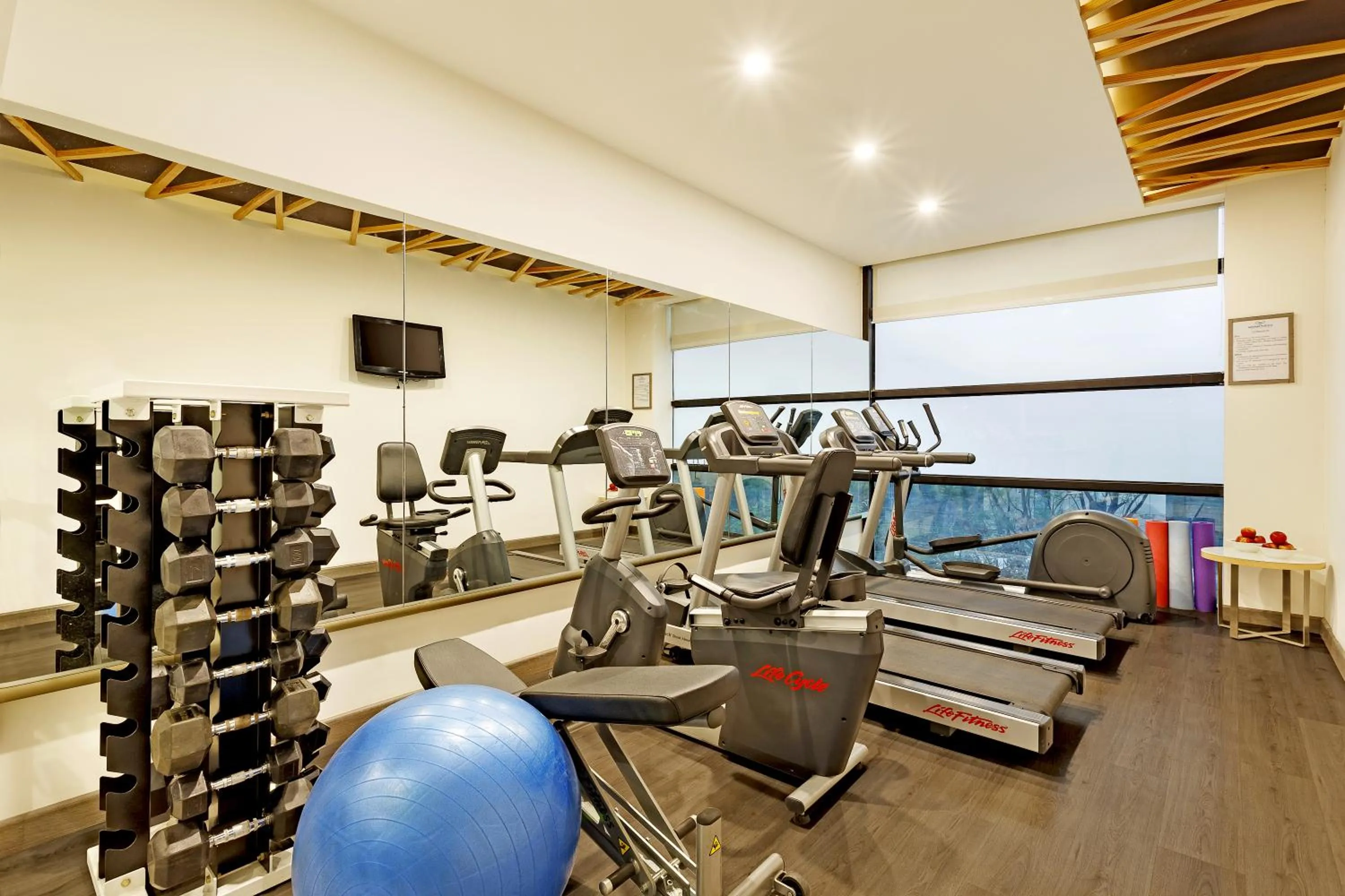 Fitness centre/facilities in Sarovar Portico Outer Ring Road