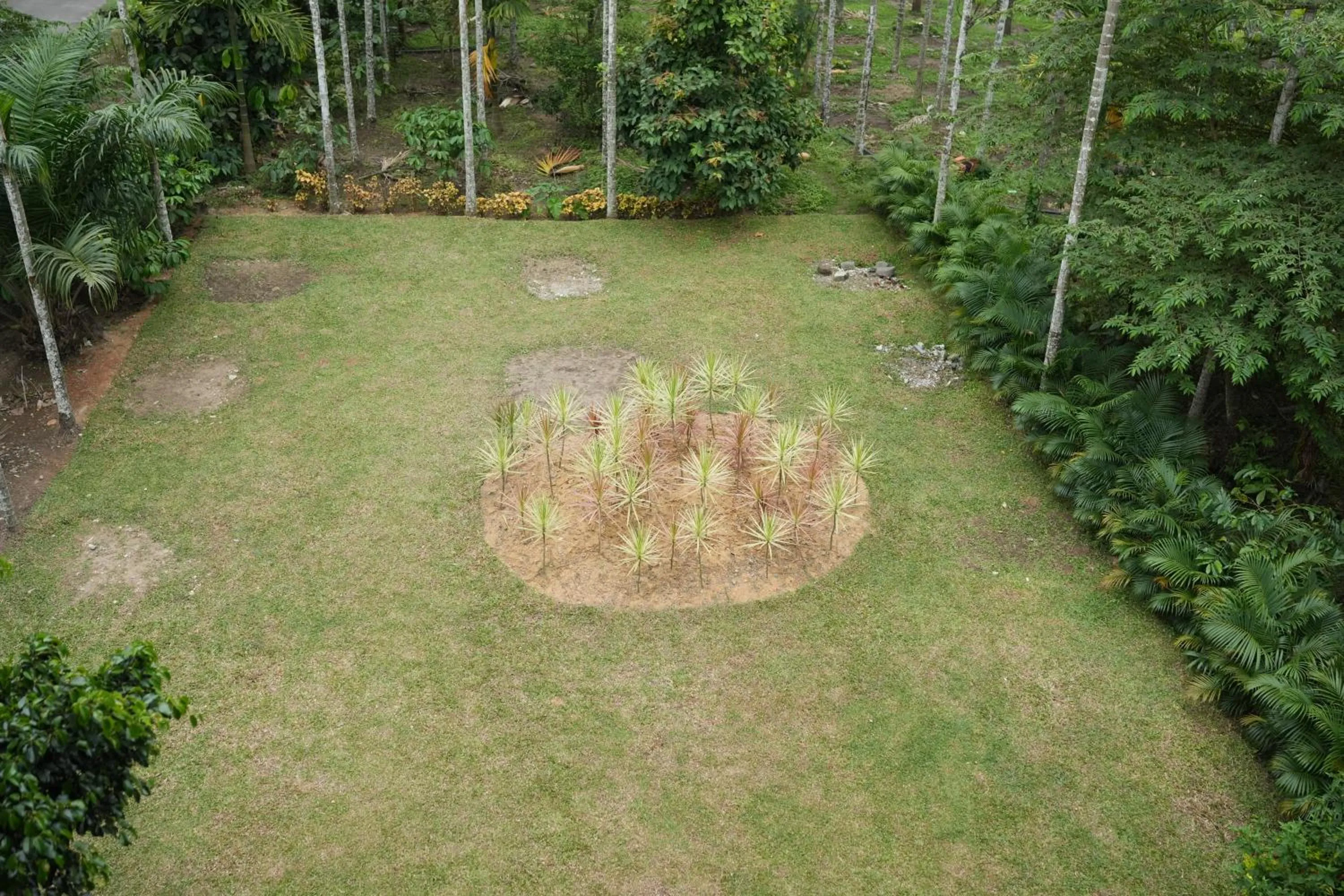 Garden in Palm Era Resorts