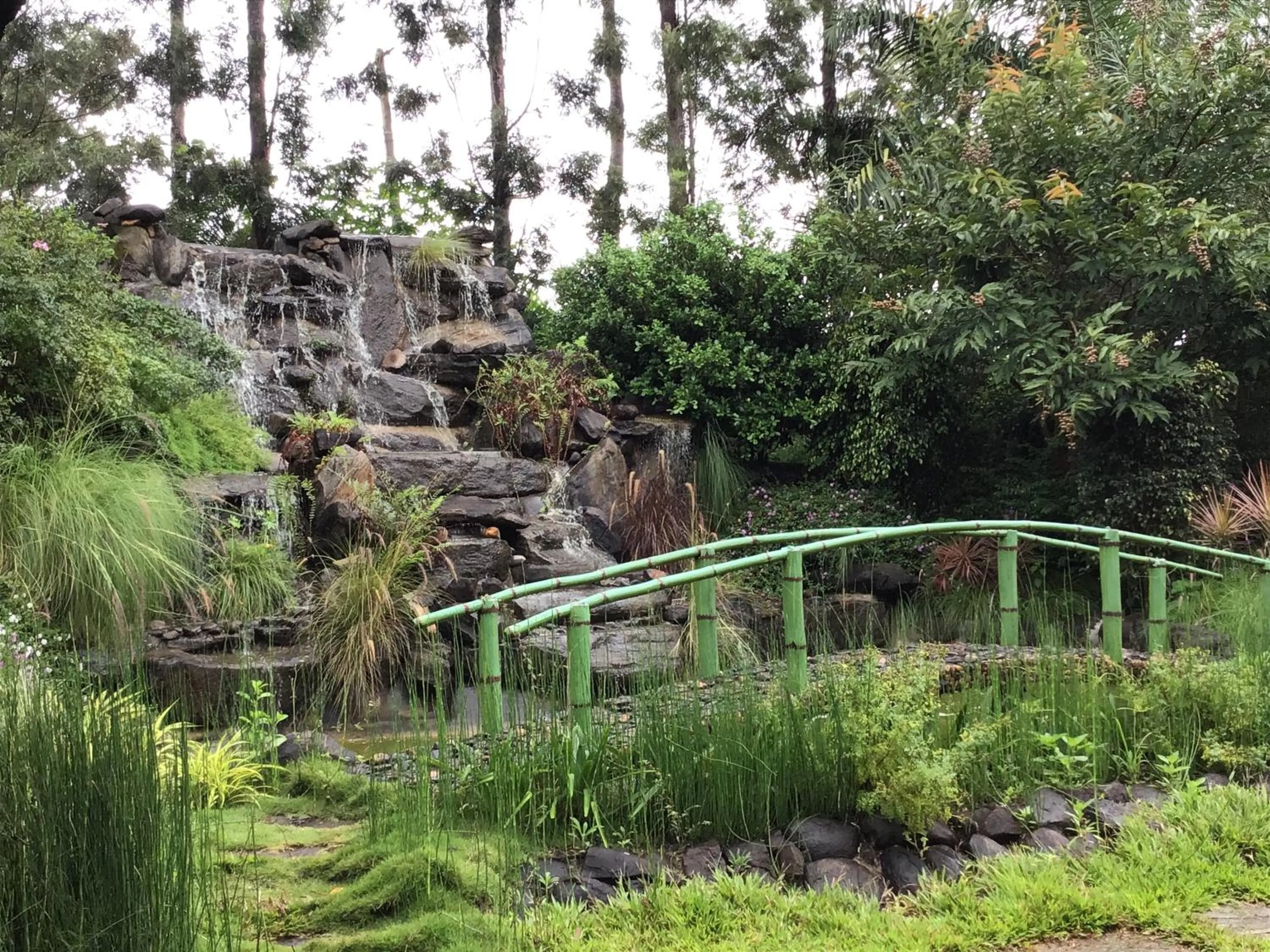 Property building in Palm Era Resorts