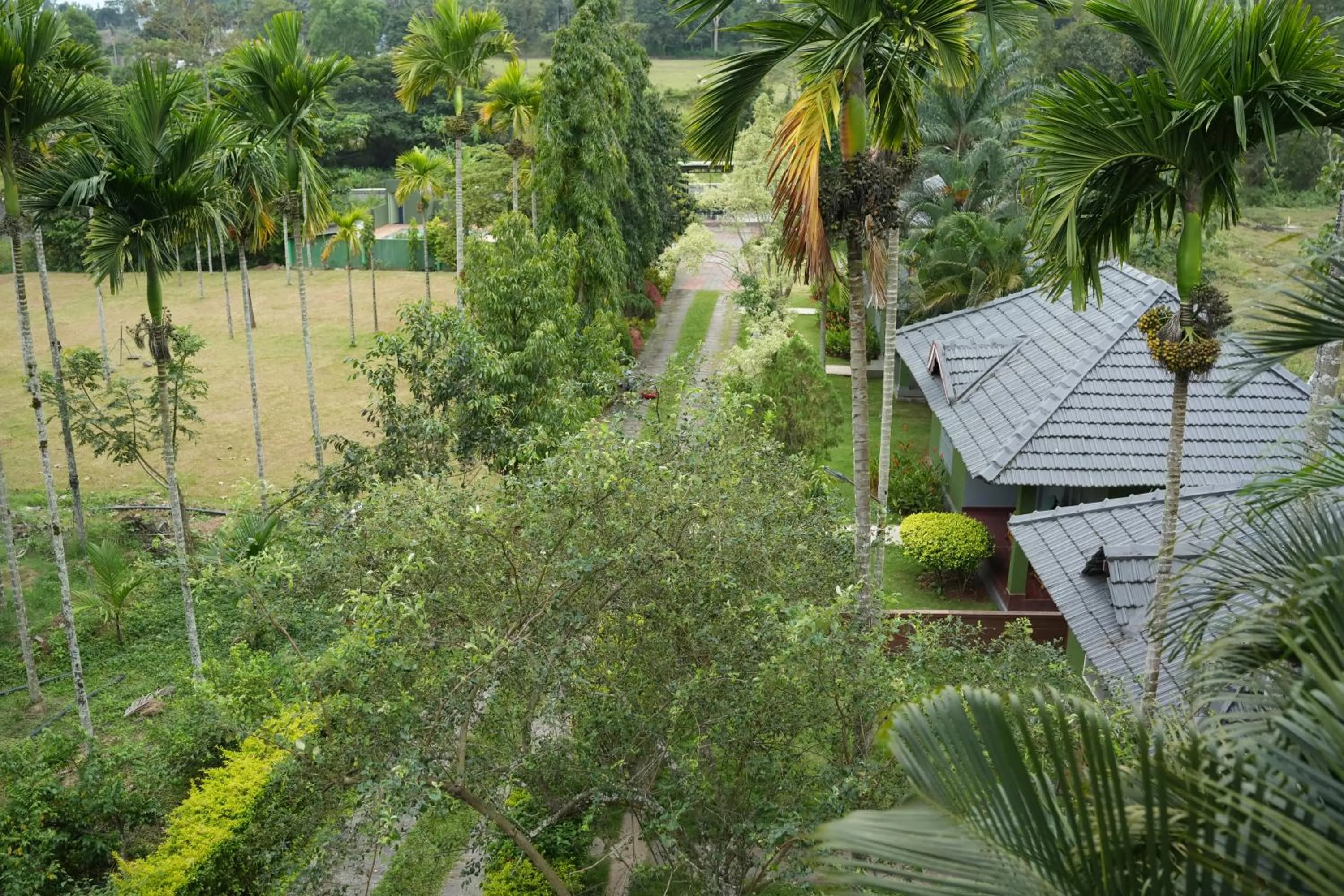 Garden view in Palm Era Resorts
