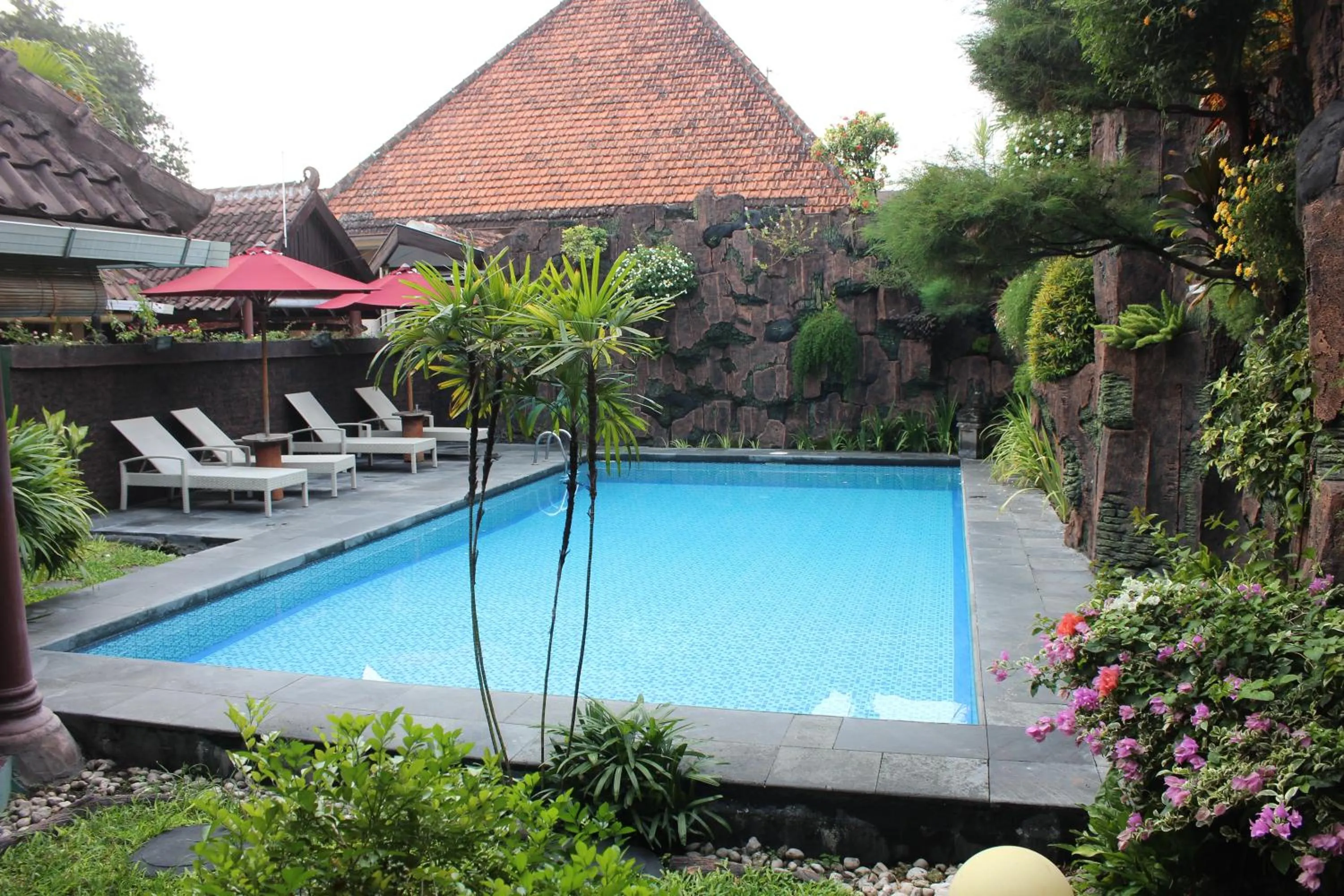 Swimming pool in Prambanan Guesthouse