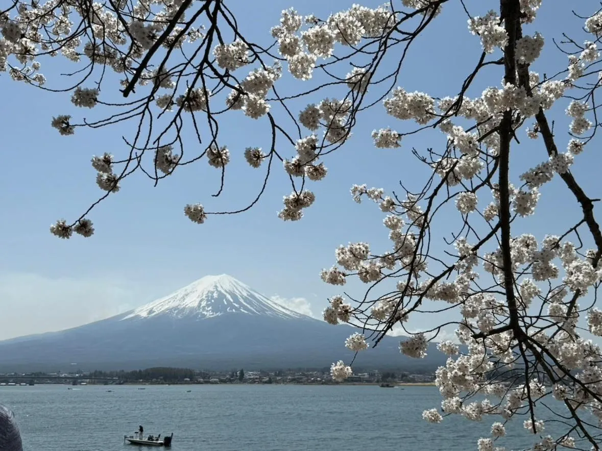 La Vista Fujikawaguchiko