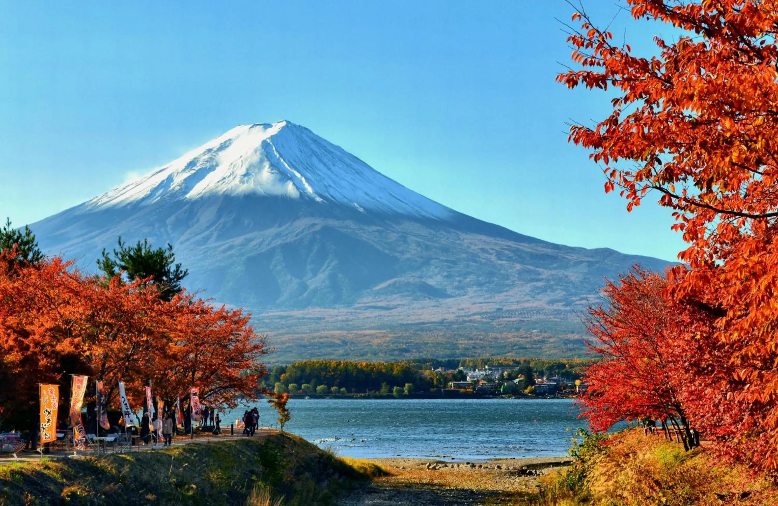 Autumn in VILLA Lupinus Kawaguchiko