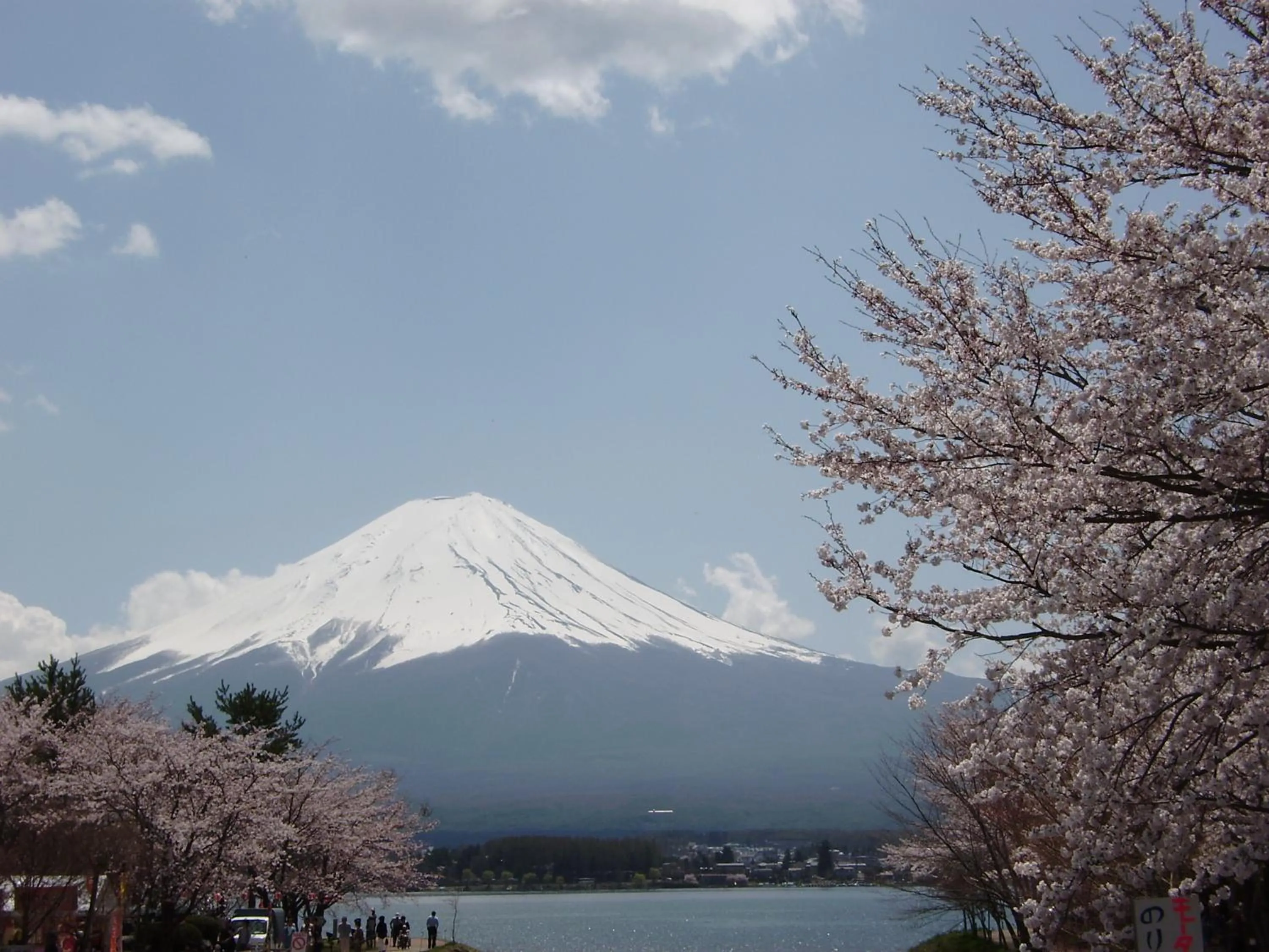 Spring in VILLA Lupinus Kawaguchiko