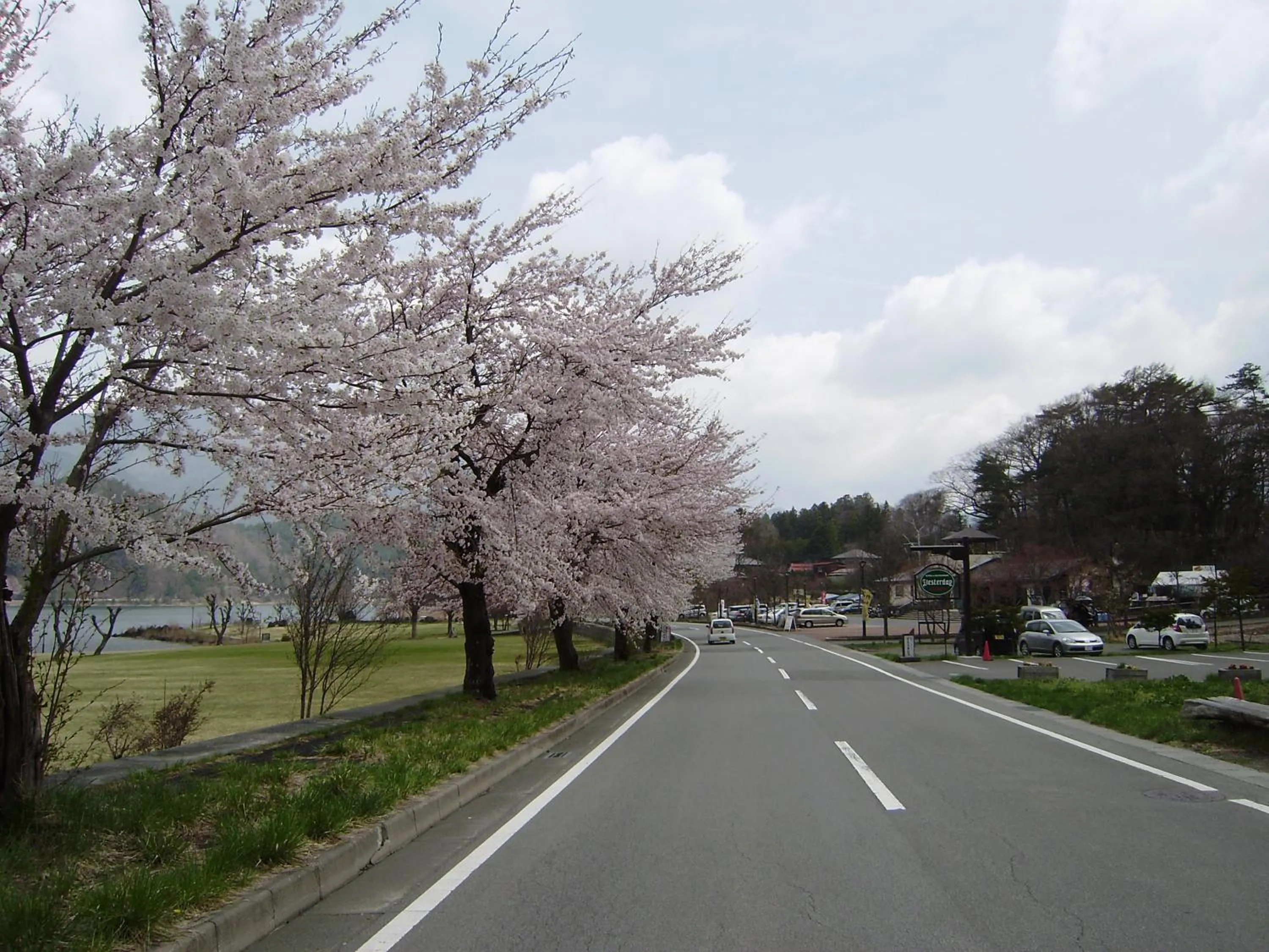 Seasons in VILLA Lupinus Kawaguchiko