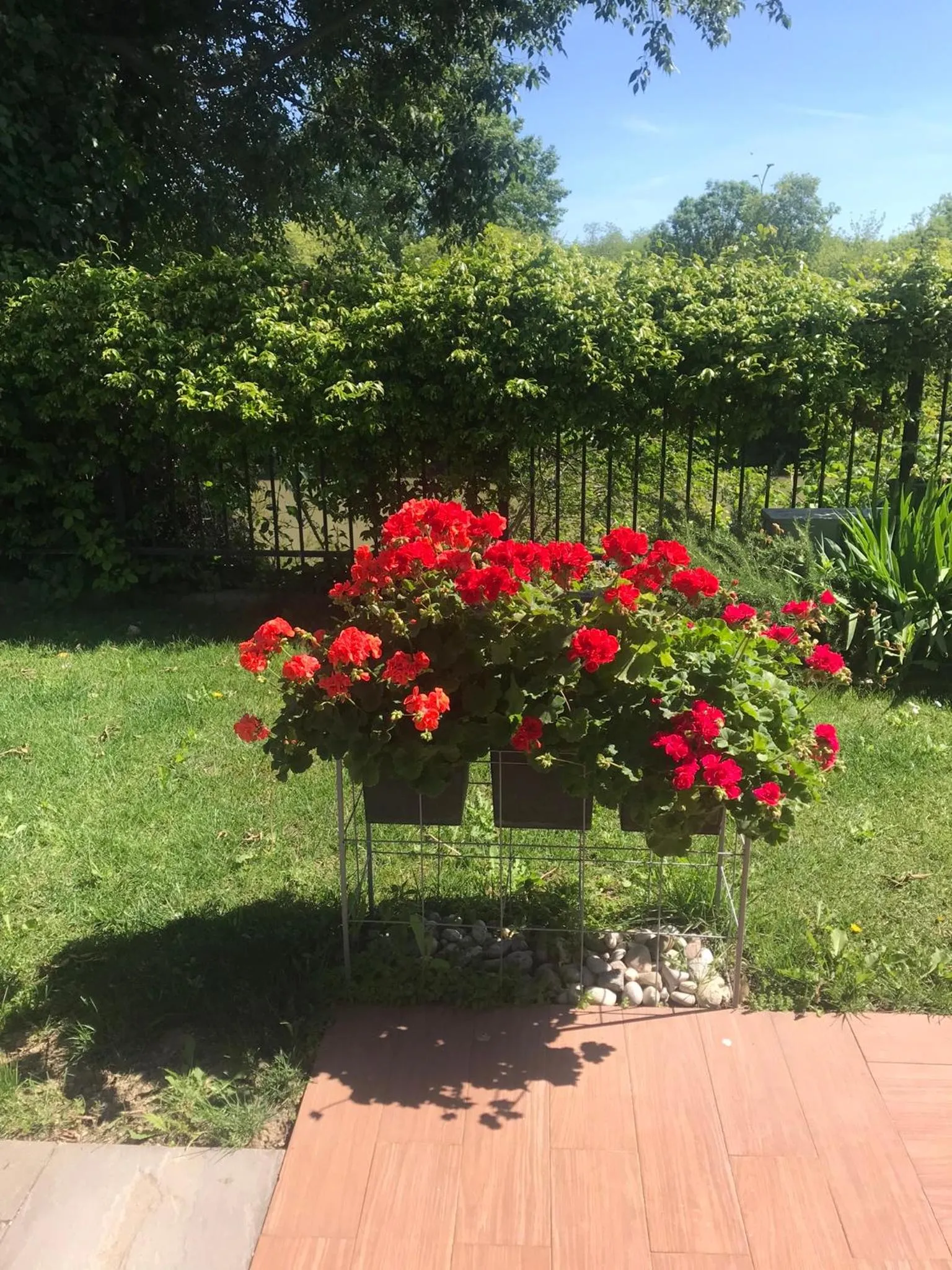 Garden in Villetta d'Este