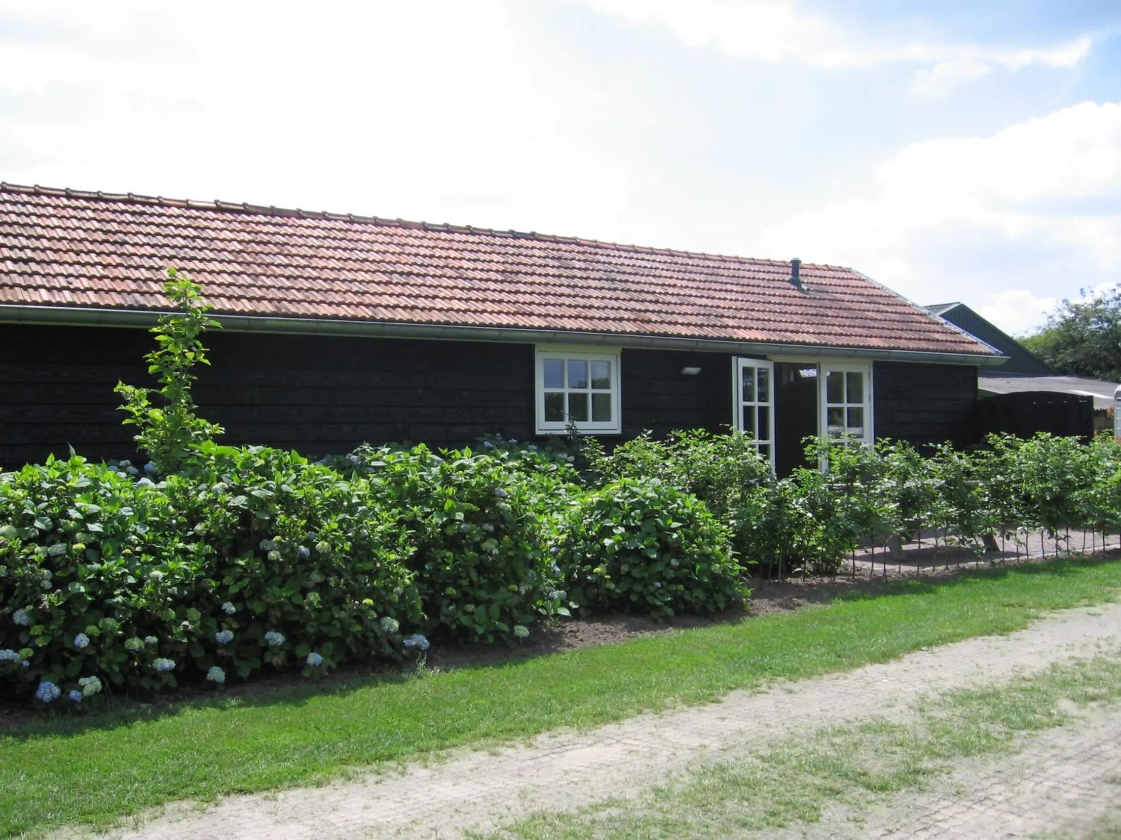 Garden in De Zandkant