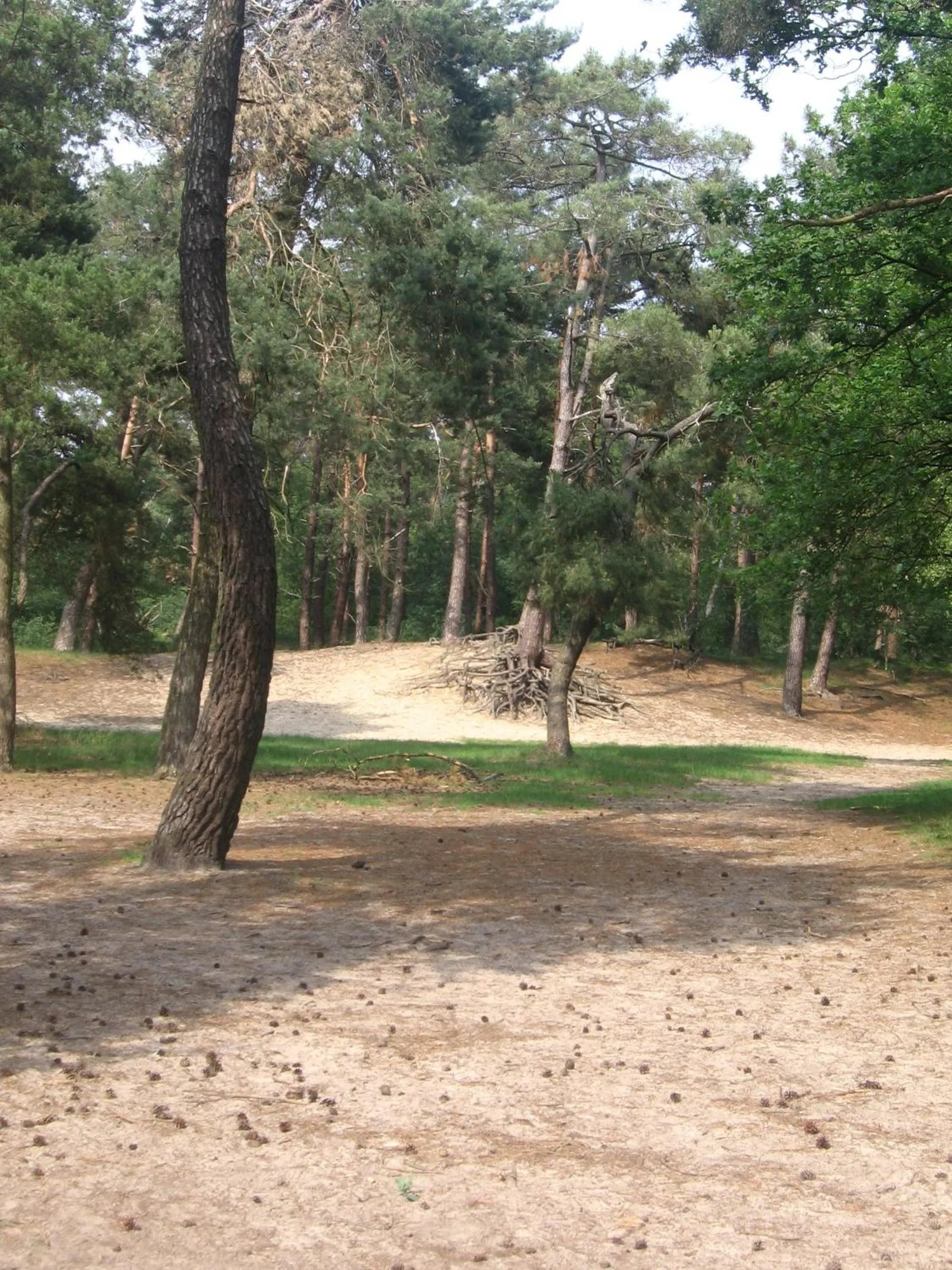 Neighbourhood in De Zandkant