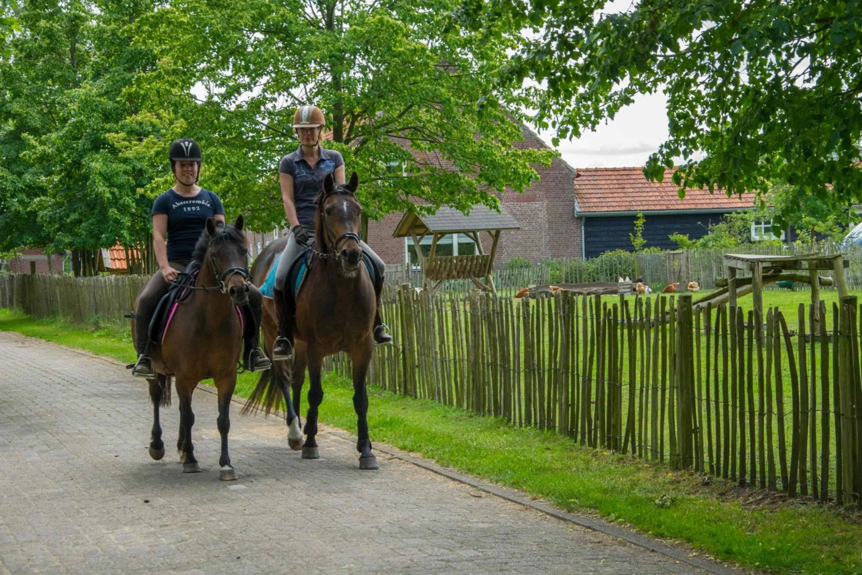 Animals in De Zandkant