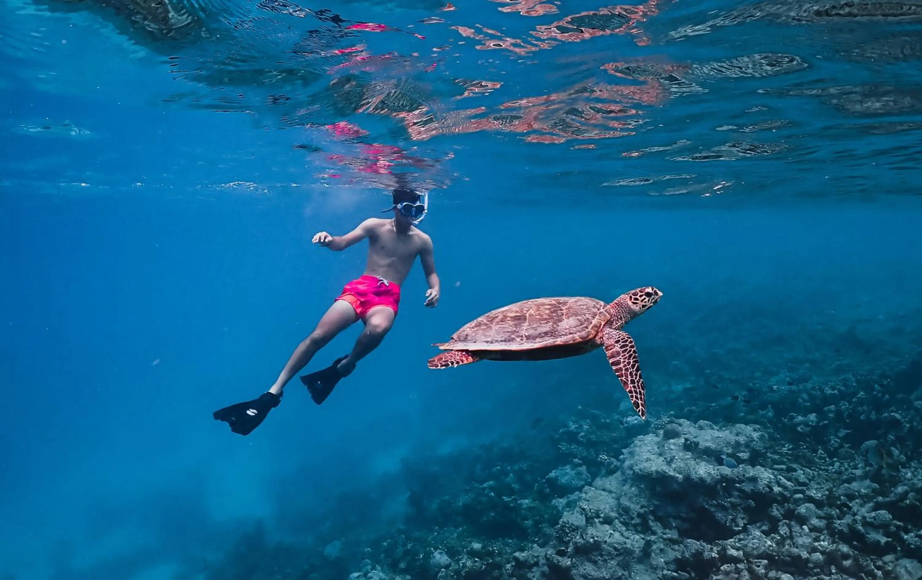 Natural landscape in Meeru Maldives Resort Island