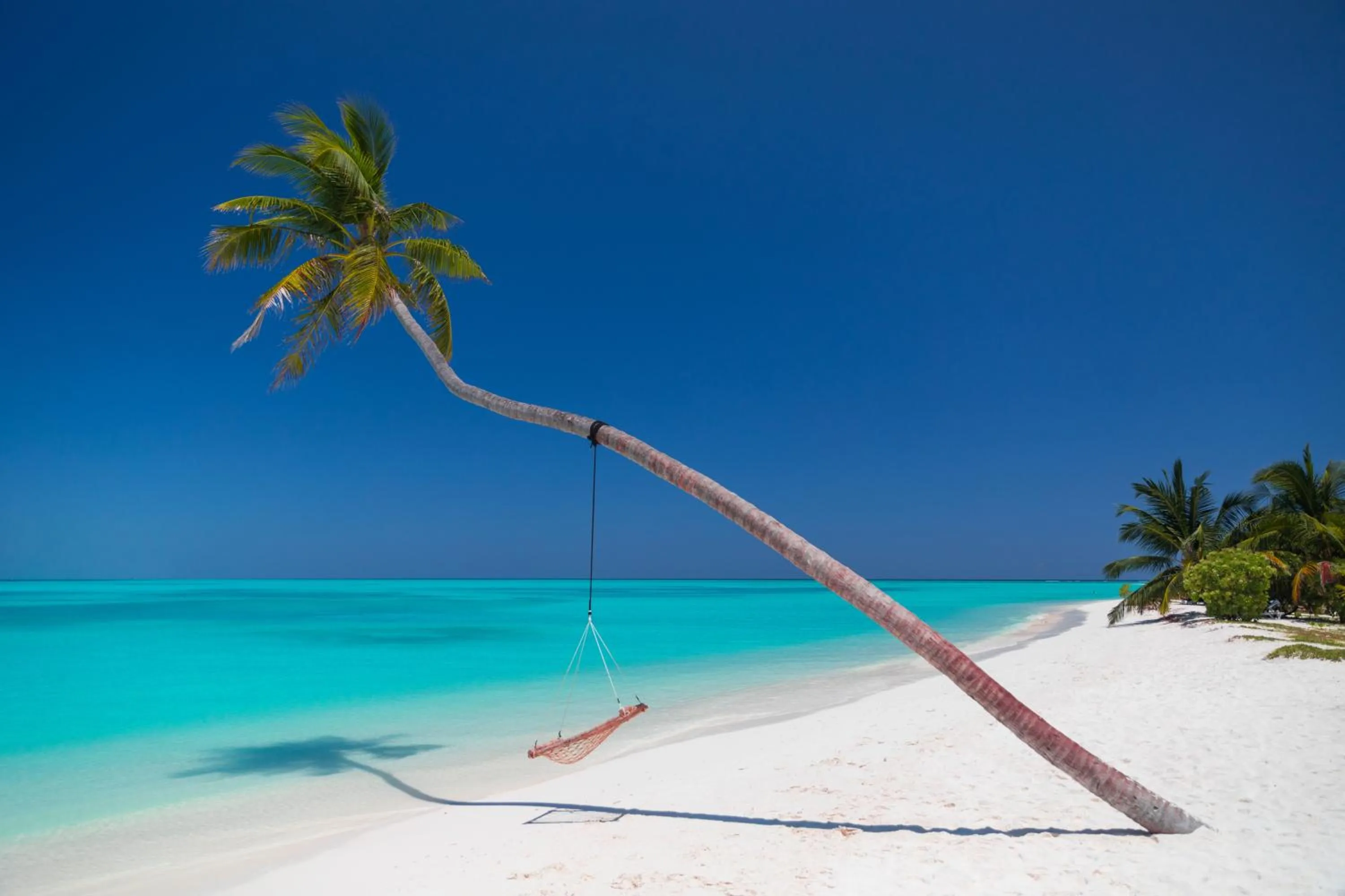 Natural landscape in Meeru Maldives Resort Island