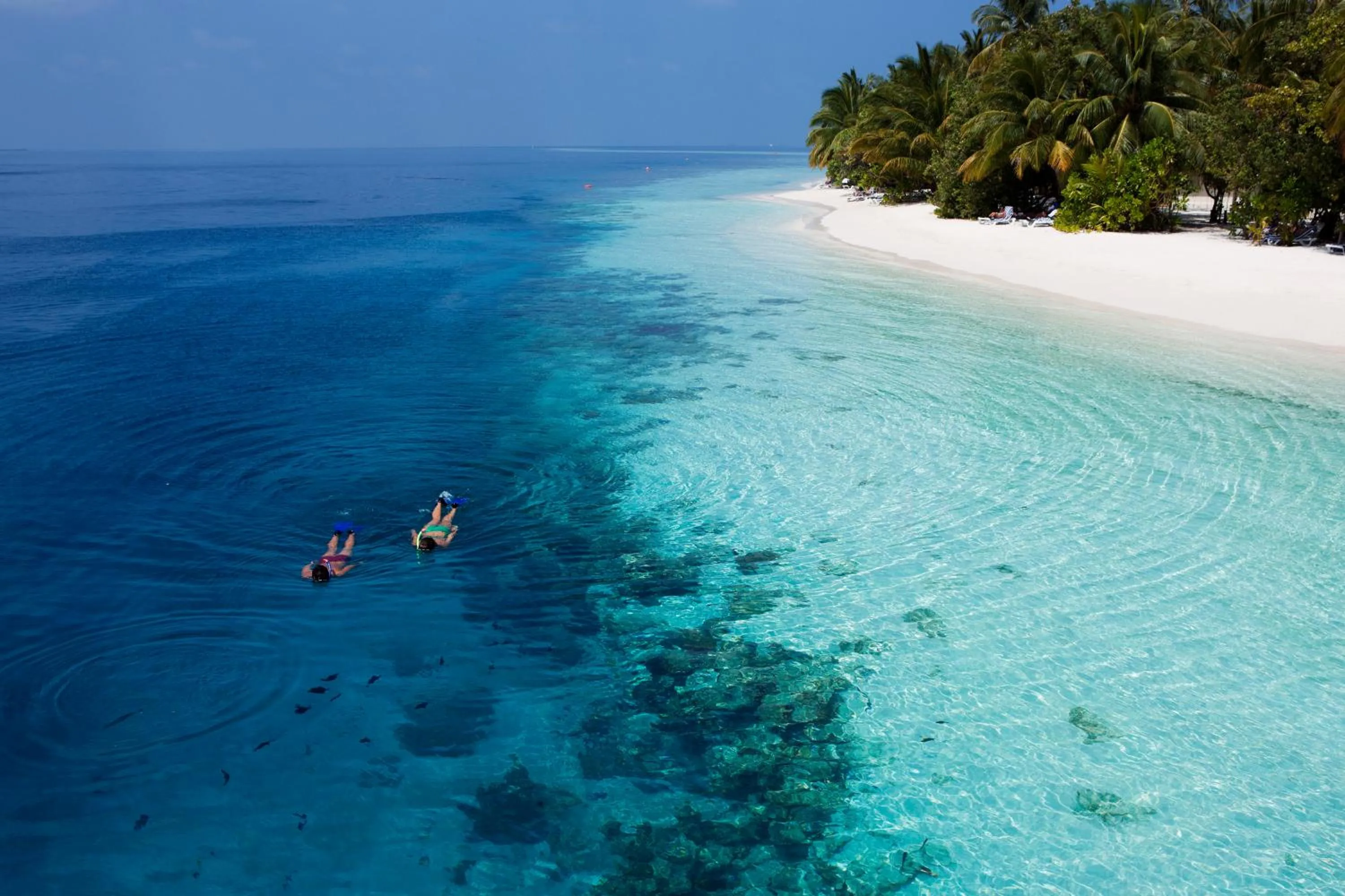 Snorkeling in Vilamendhoo Island Resort & Spa