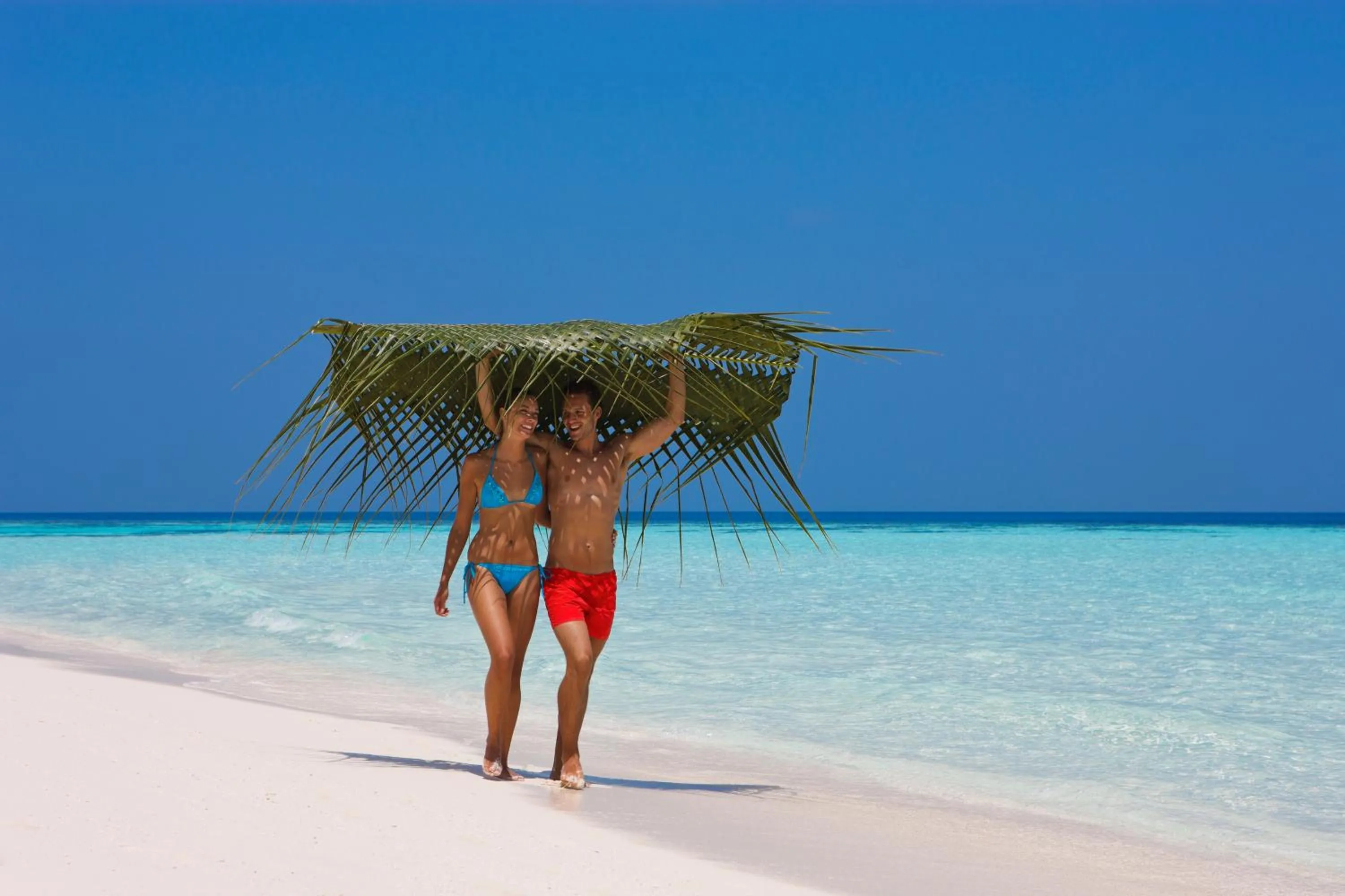 Beach in Vilamendhoo Island Resort & Spa