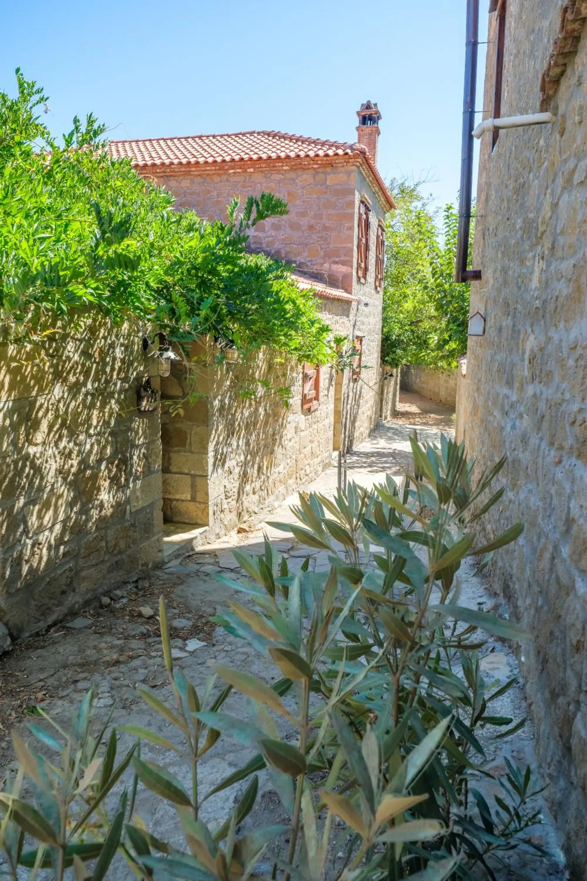 One-Bedroom Chalet in Mavras Tas Odalar One-Bedroom Chalet in Mavras Tas Odalar