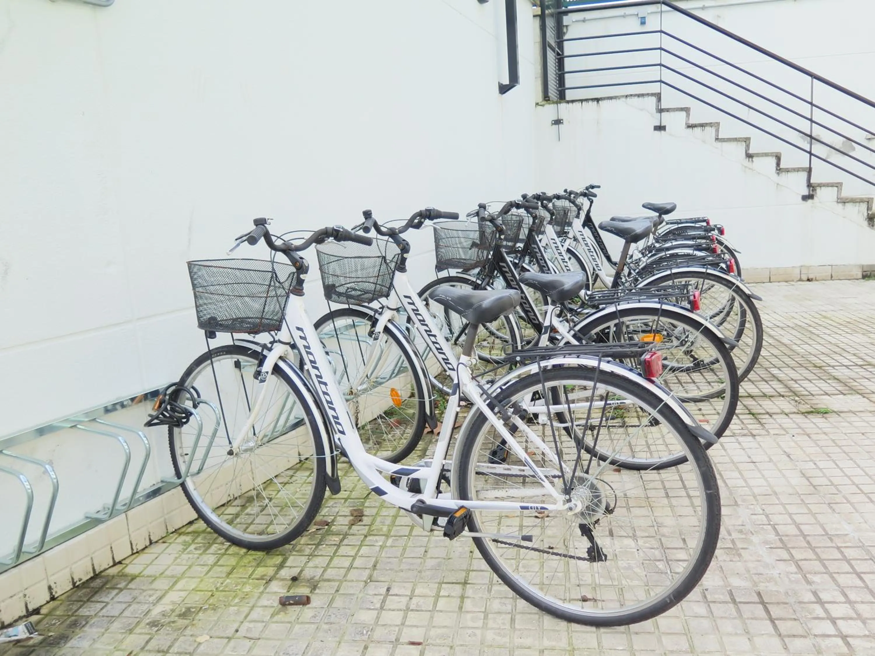 Area and facilities in Koisi Hostel