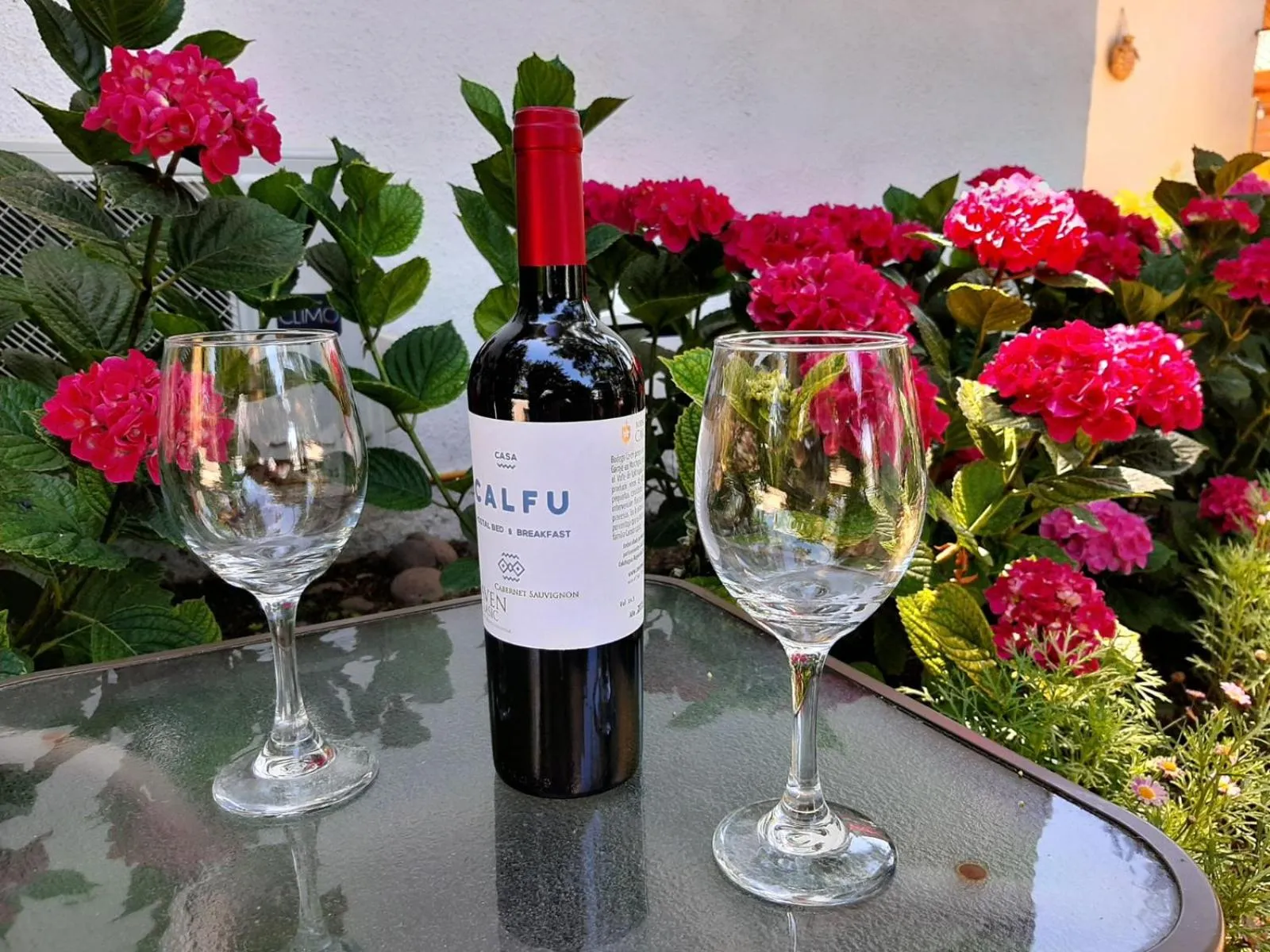 Drinks in Casa Calfu