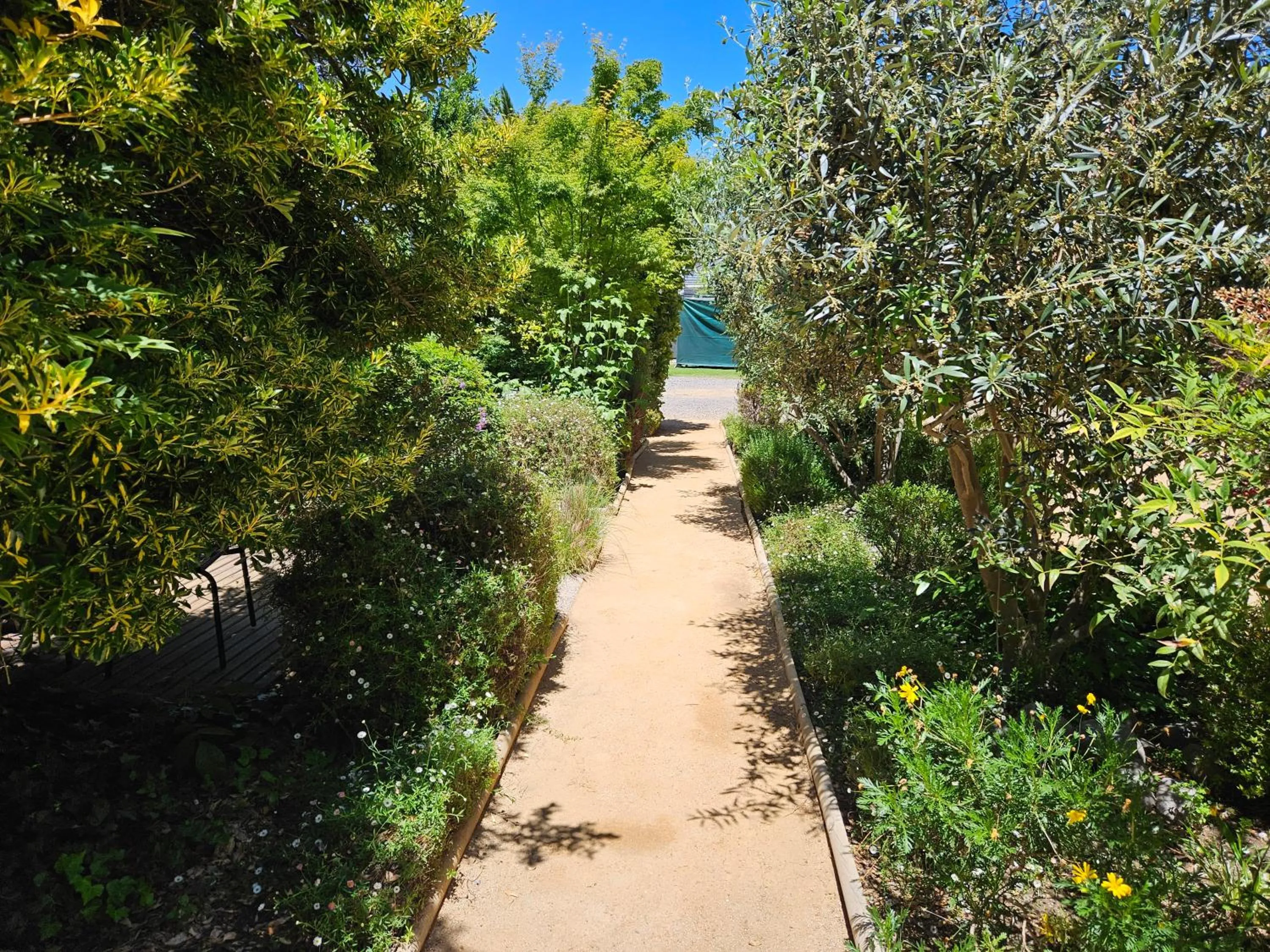 Natural landscape in Casa Calfu