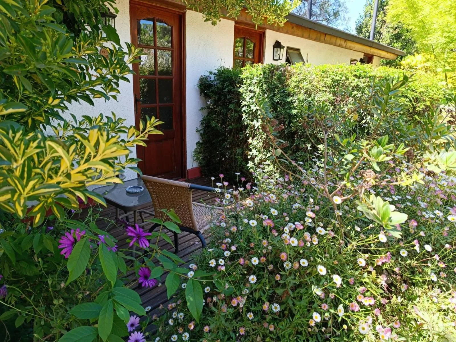 Garden in Casa Calfu