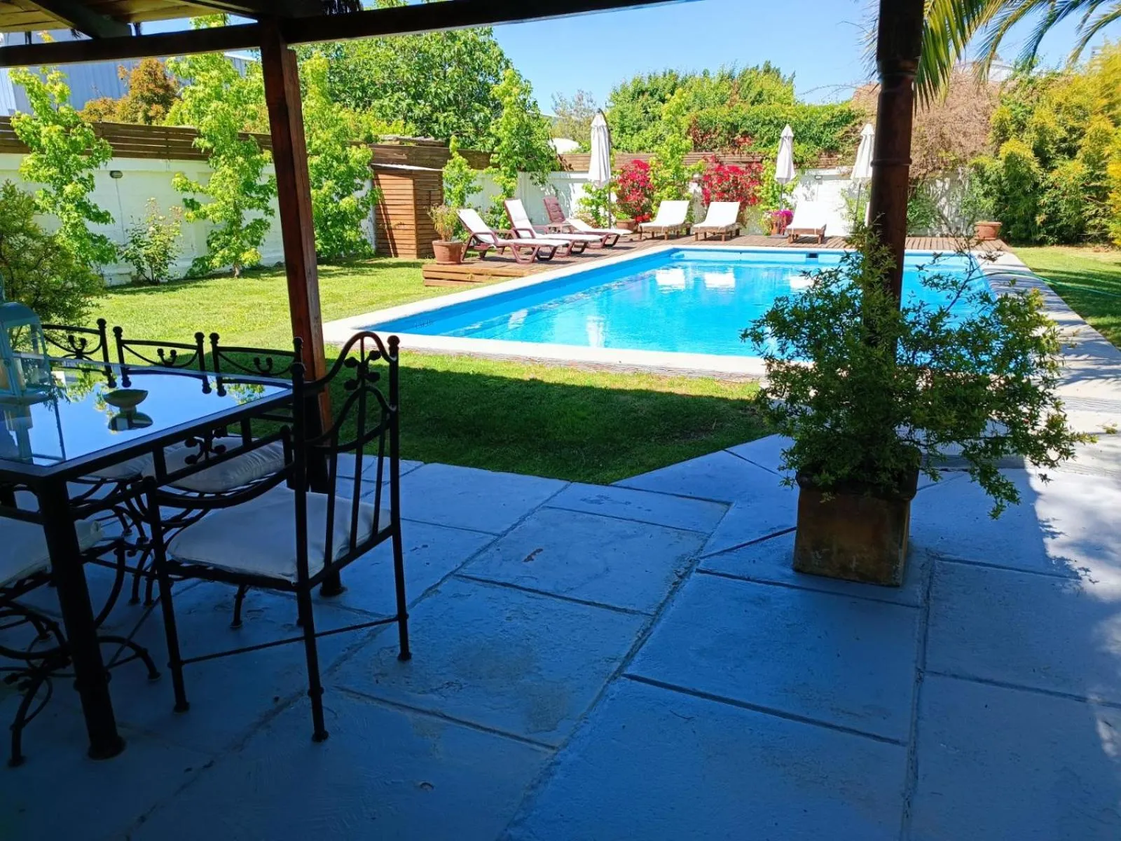 Swimming pool in Casa Calfu