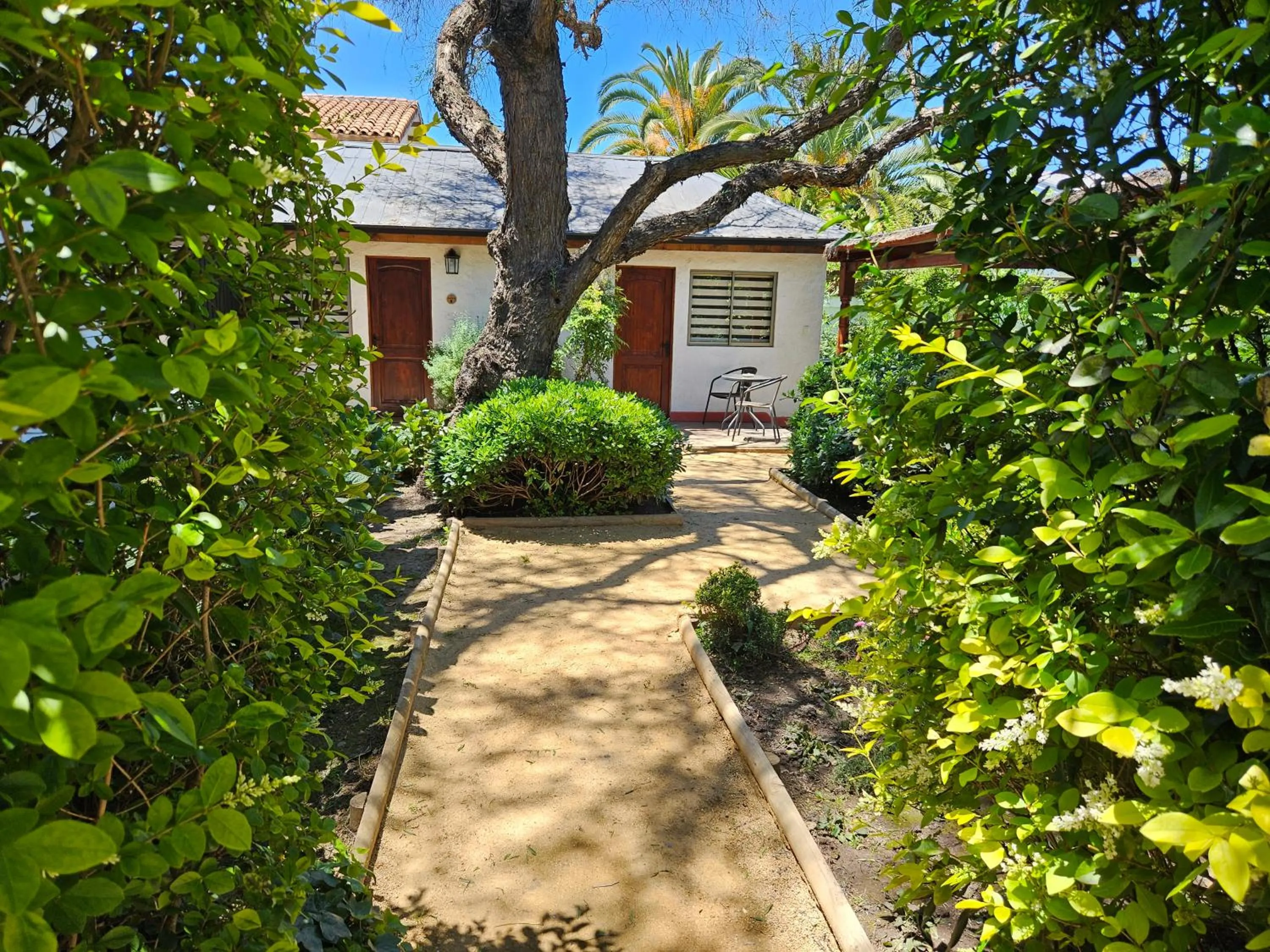 Garden view in Casa Calfu