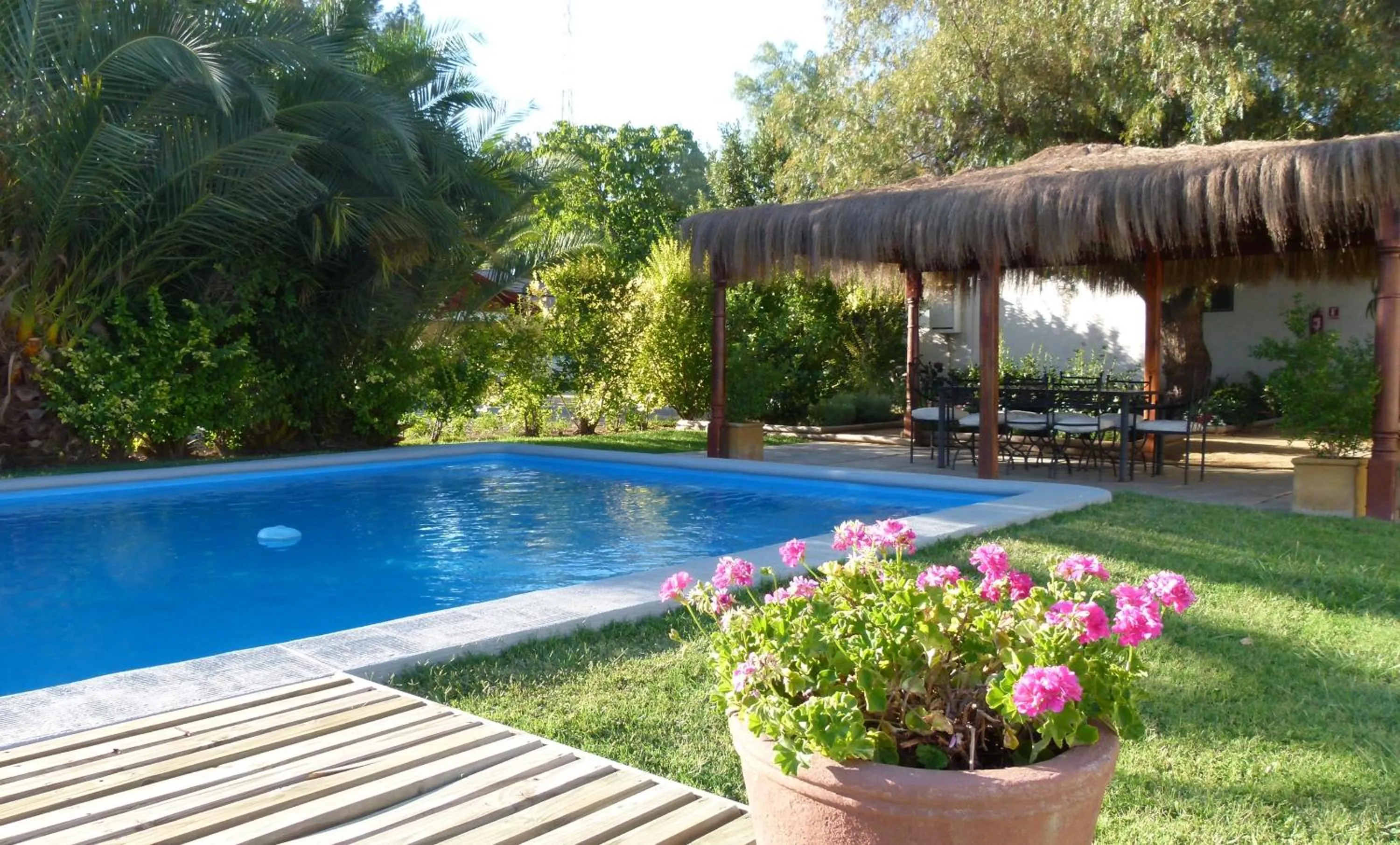Swimming pool in Casa Calfu