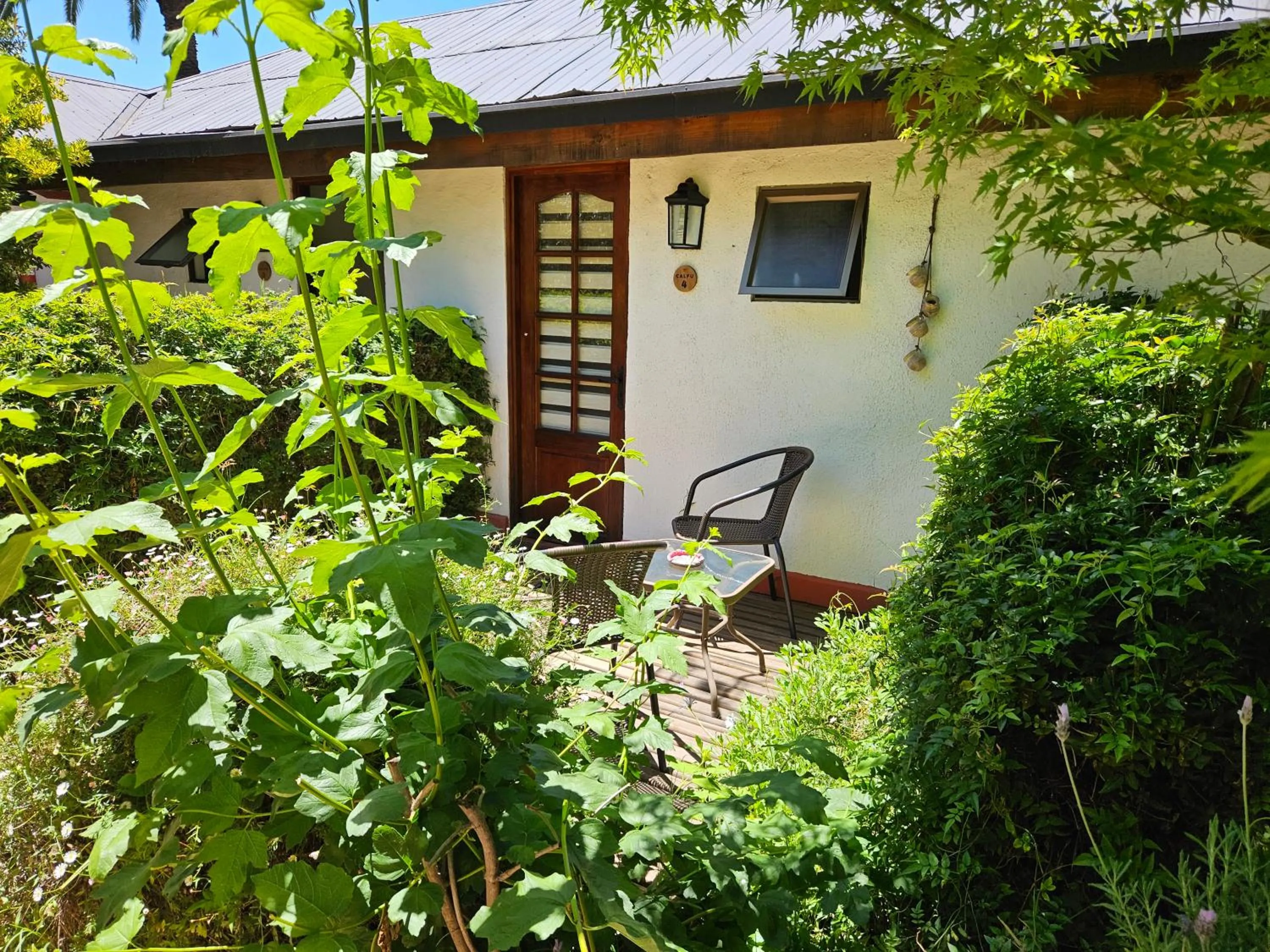 Garden view in Casa Calfu