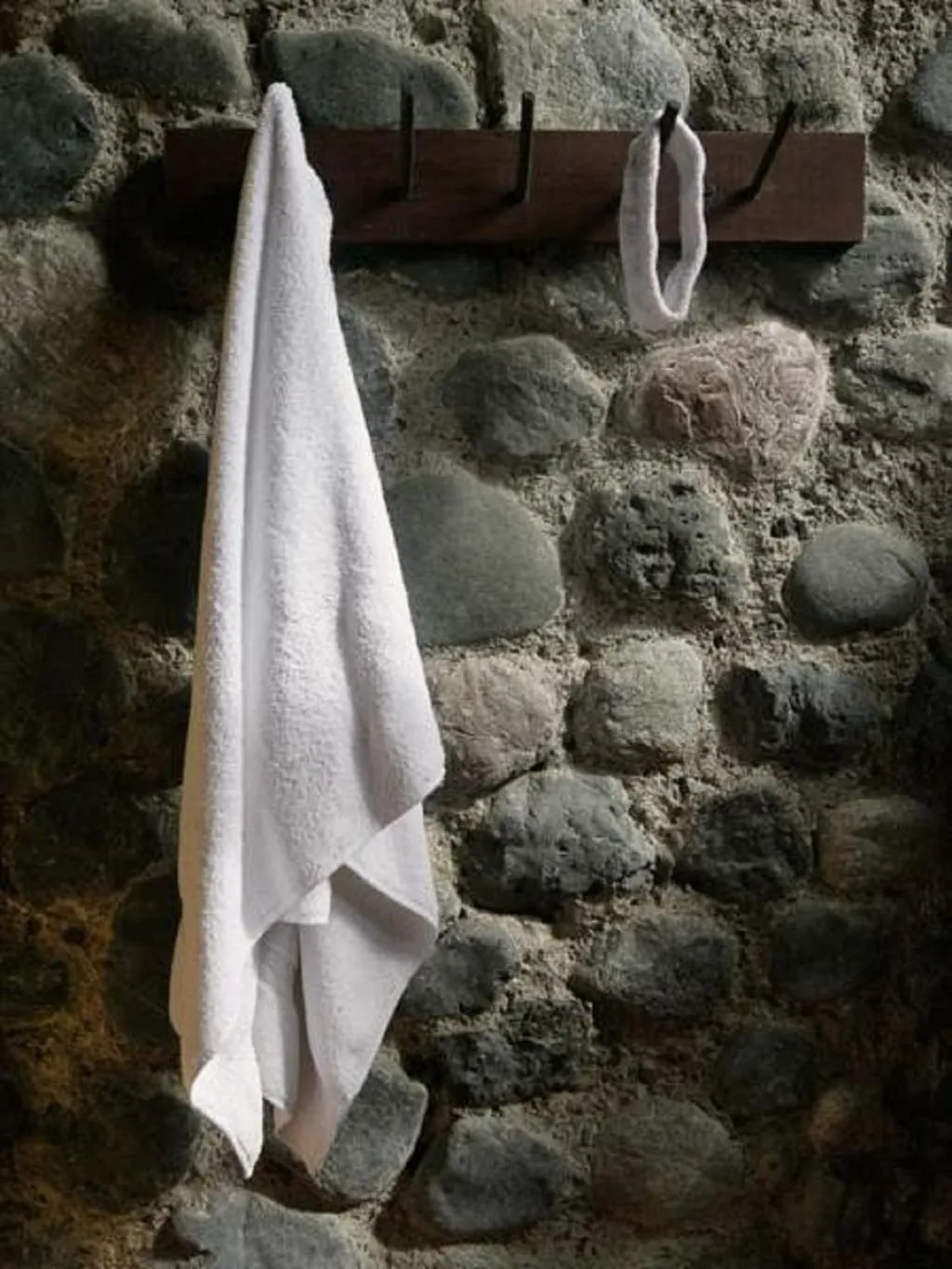 Iguana Lodge Beach Resort