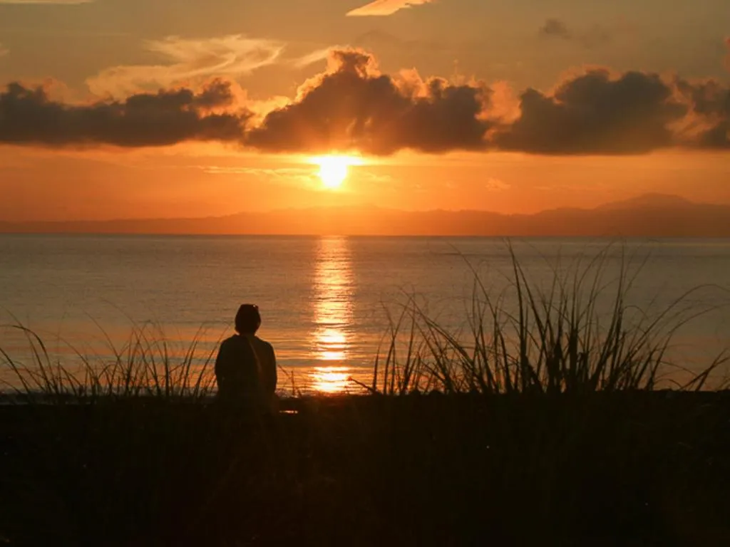 Iguana Lodge Beach Resort