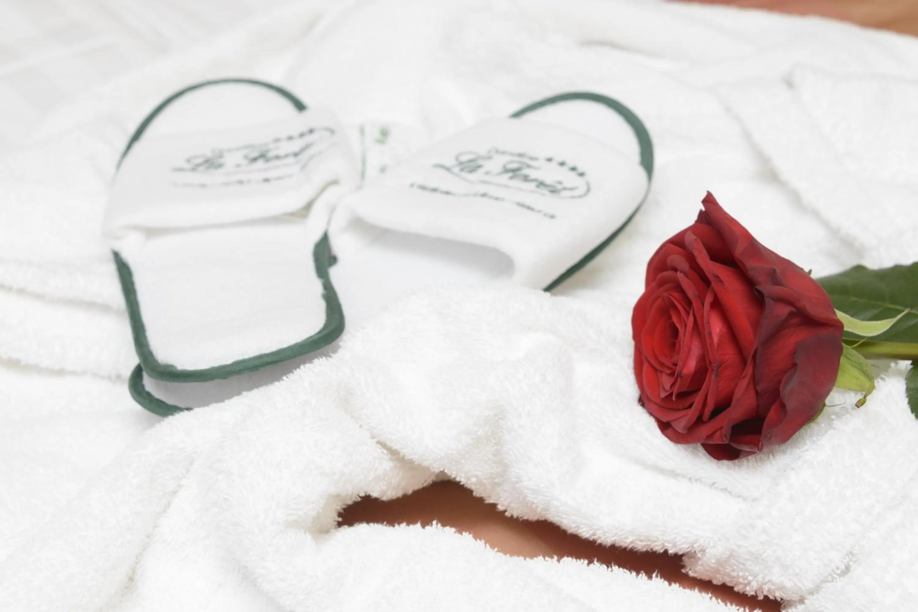 Area and facilities in Domaine de la Forêt