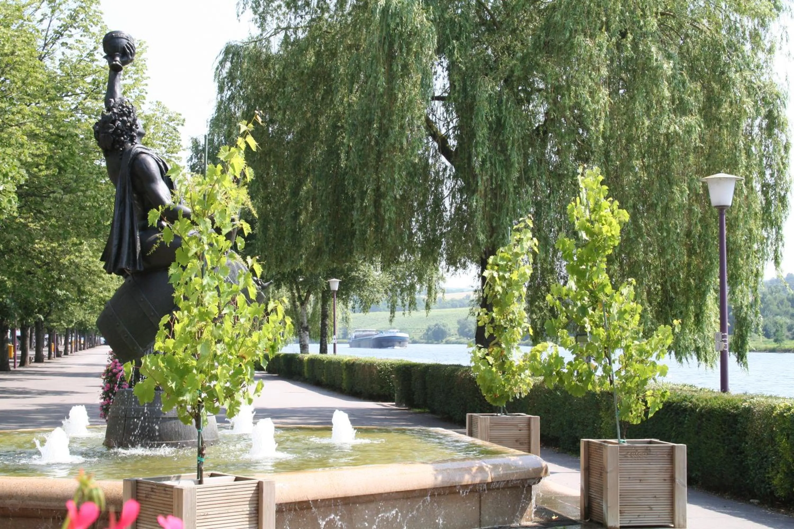 Activities in Domaine de la Forêt