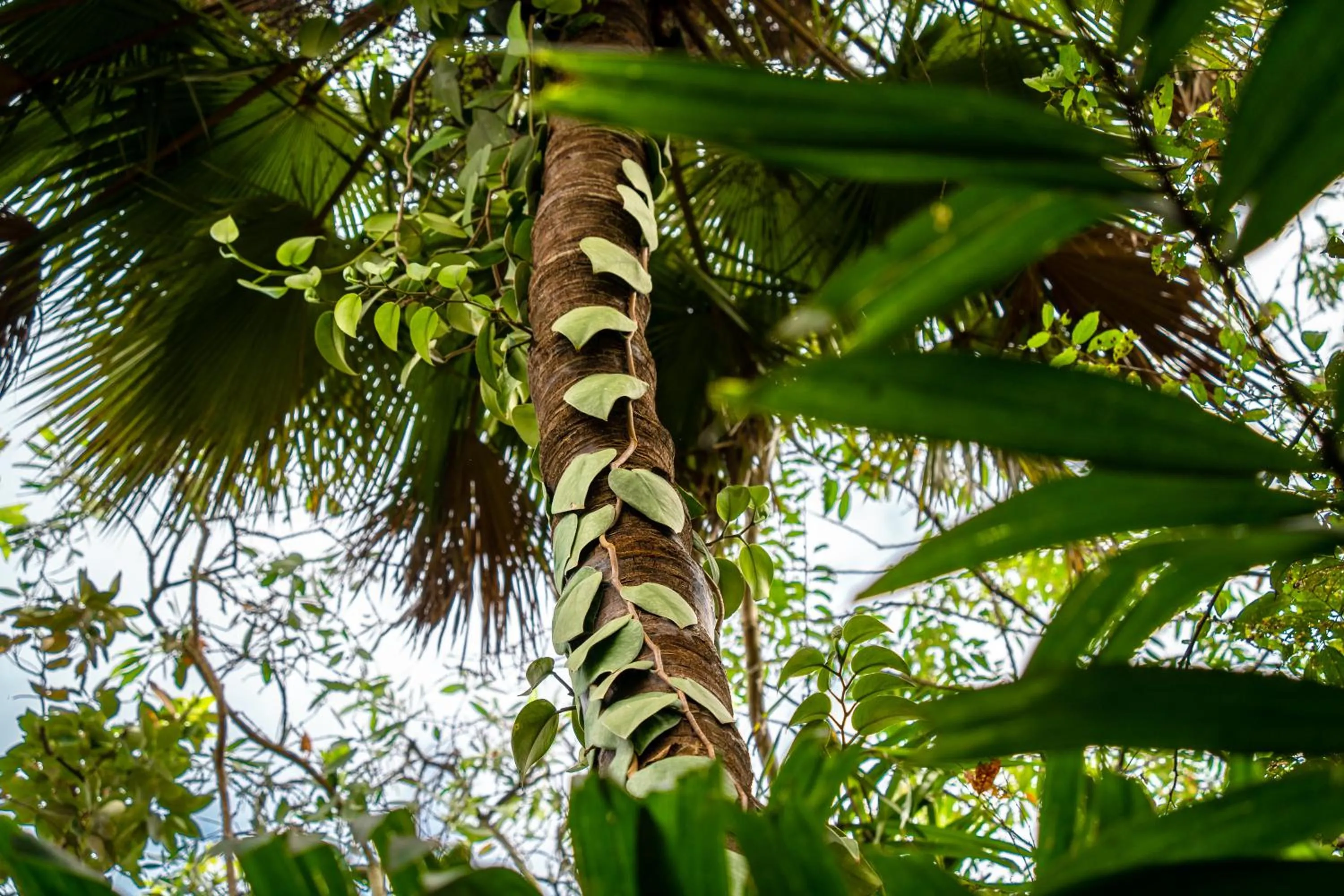 Minigolf in Trinity Links Resort