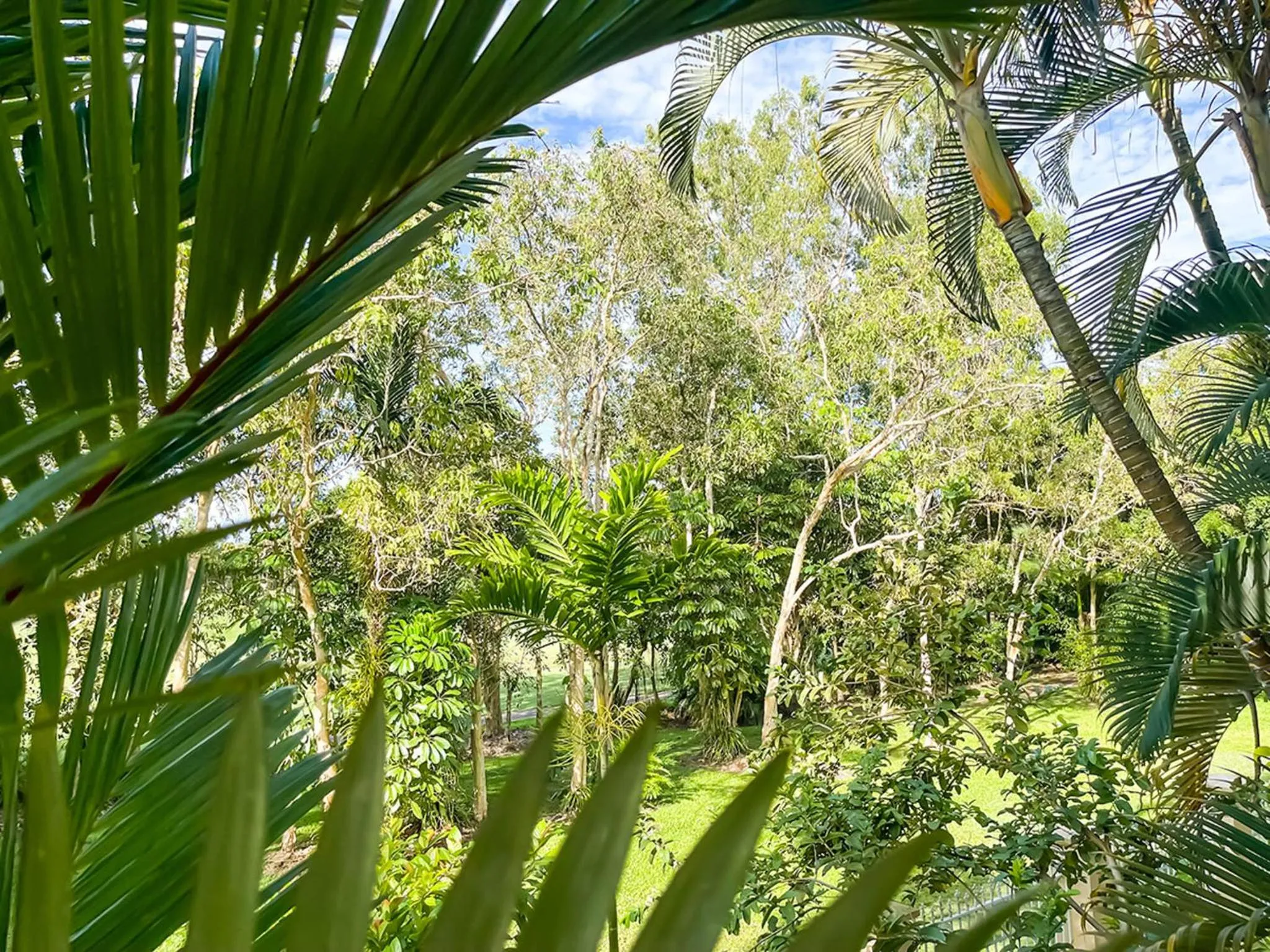 Natural landscape in Trinity Links Resort