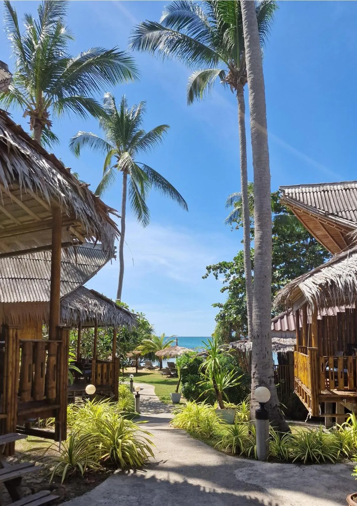 Garden view in Lazy Days Bungalows