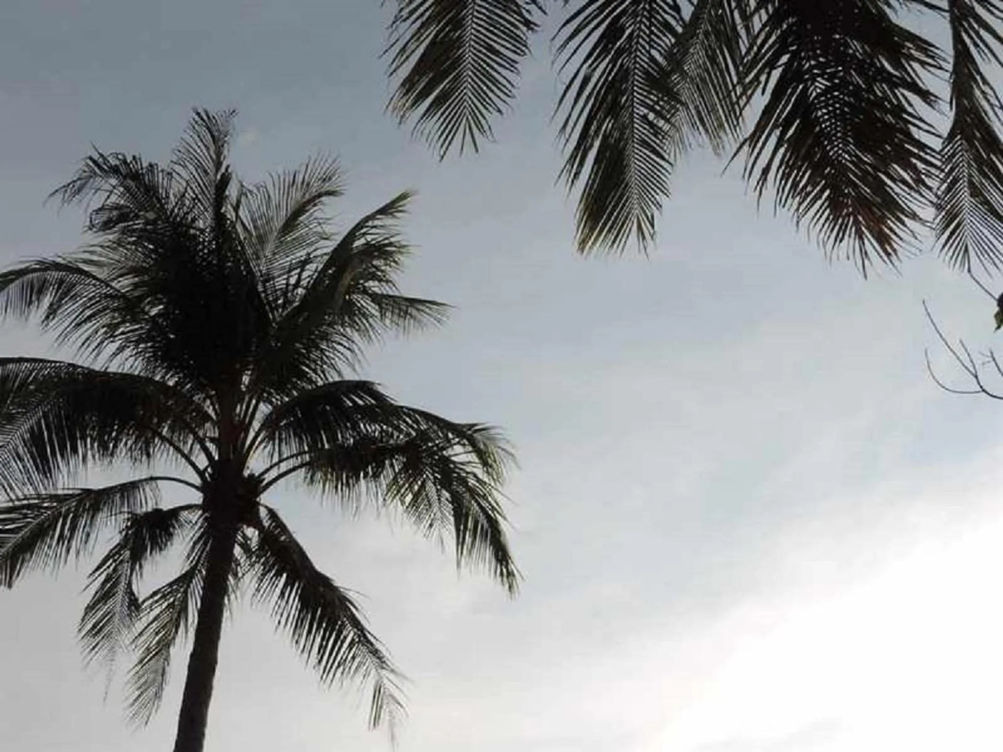 View (from property/room) in Lazy Days Bungalows