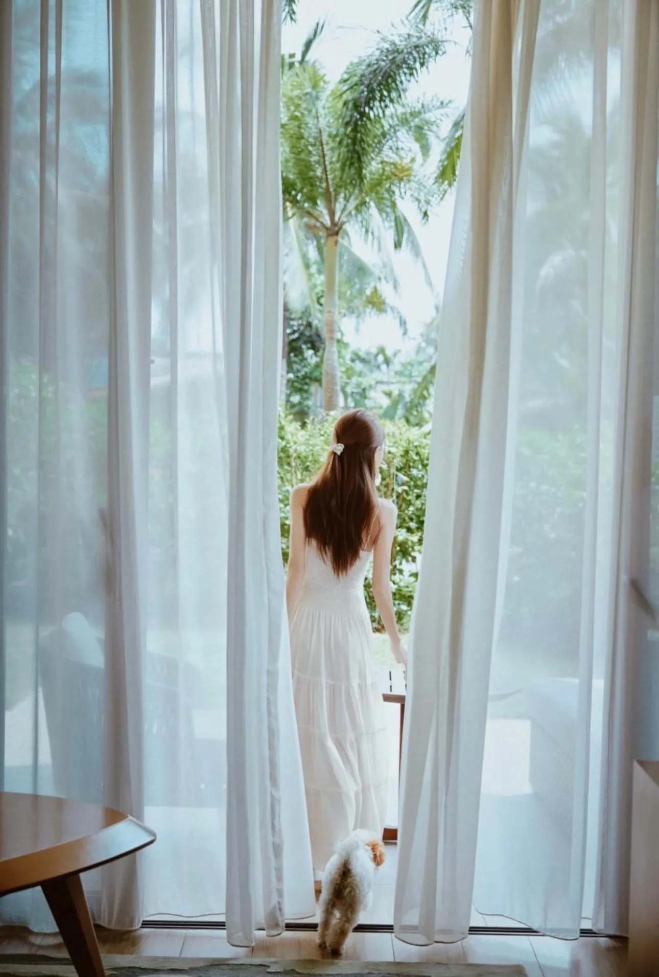 pet friendly in The Westin Shimei Bay Resort