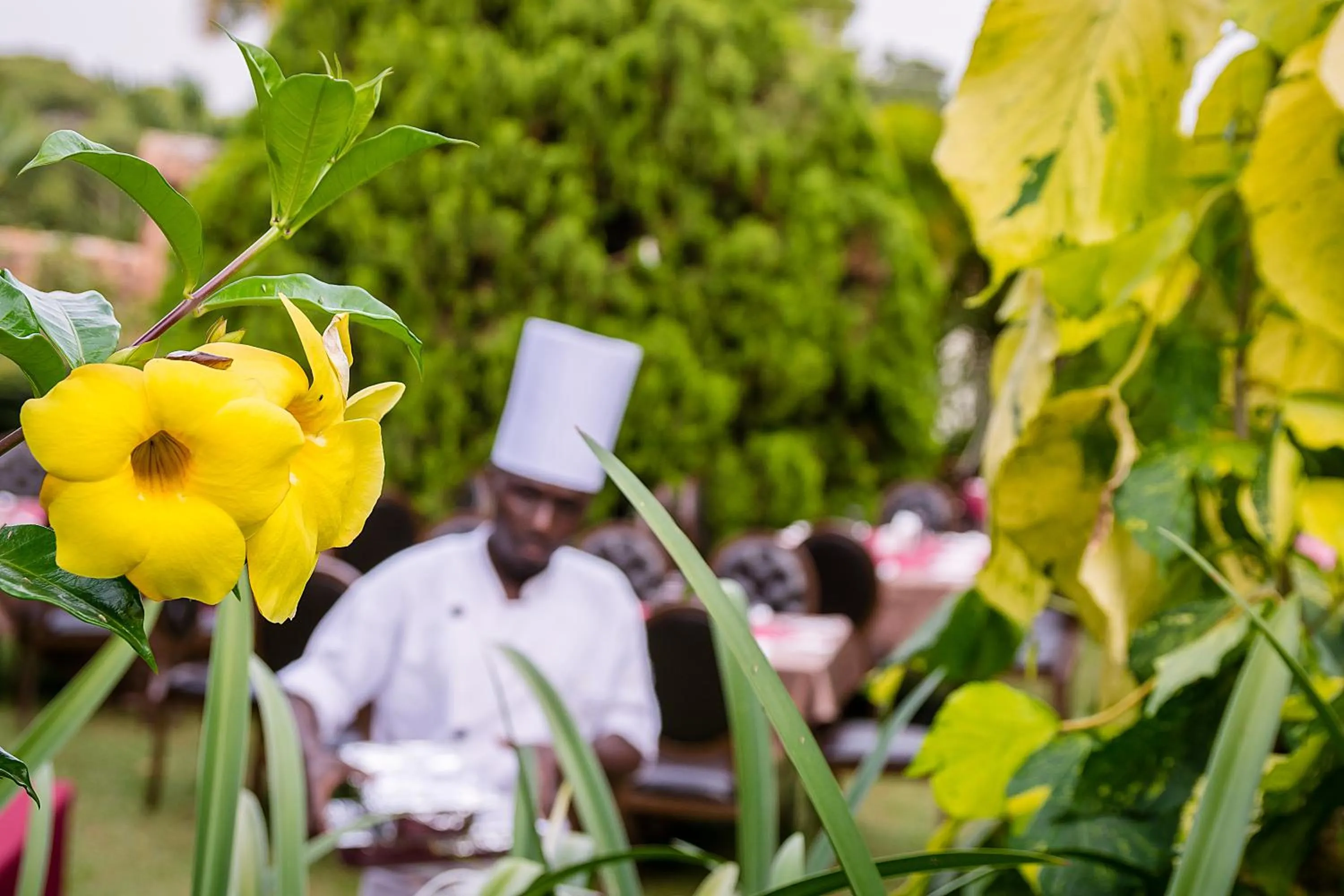 Staff in Imperial Heights Hotel, Entebbe