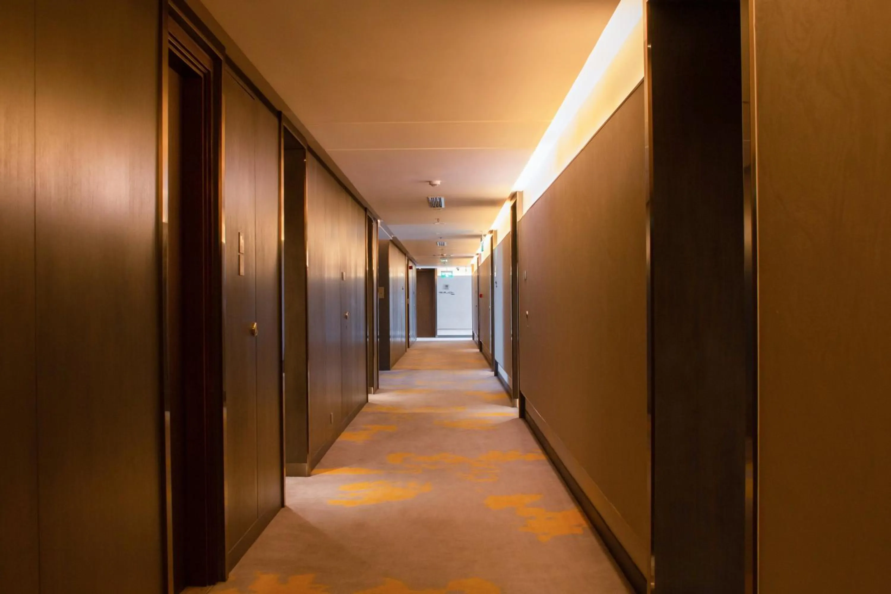 Decorative detail in Crowne Plaza Vientiane by IHG