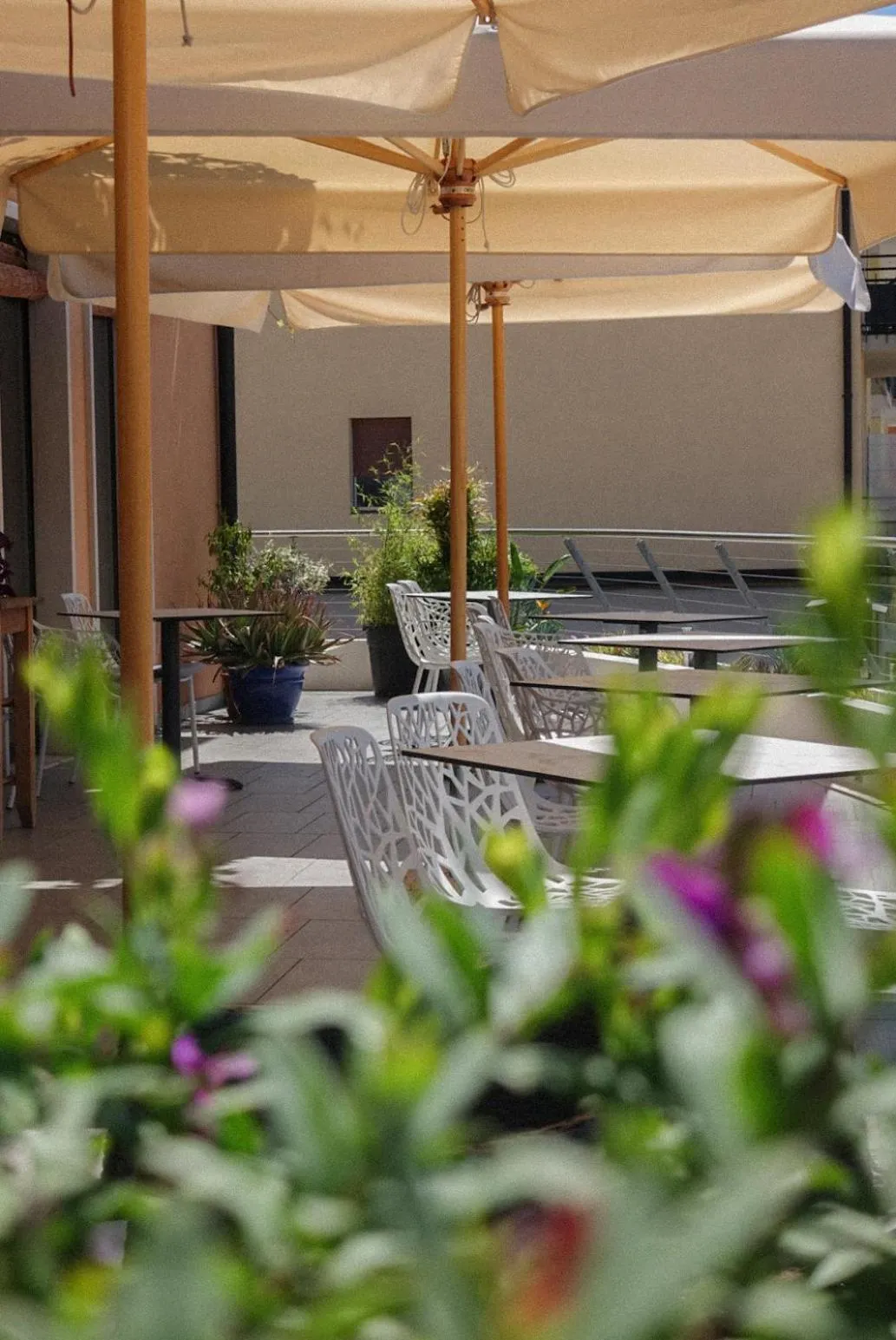 Hotel Peler