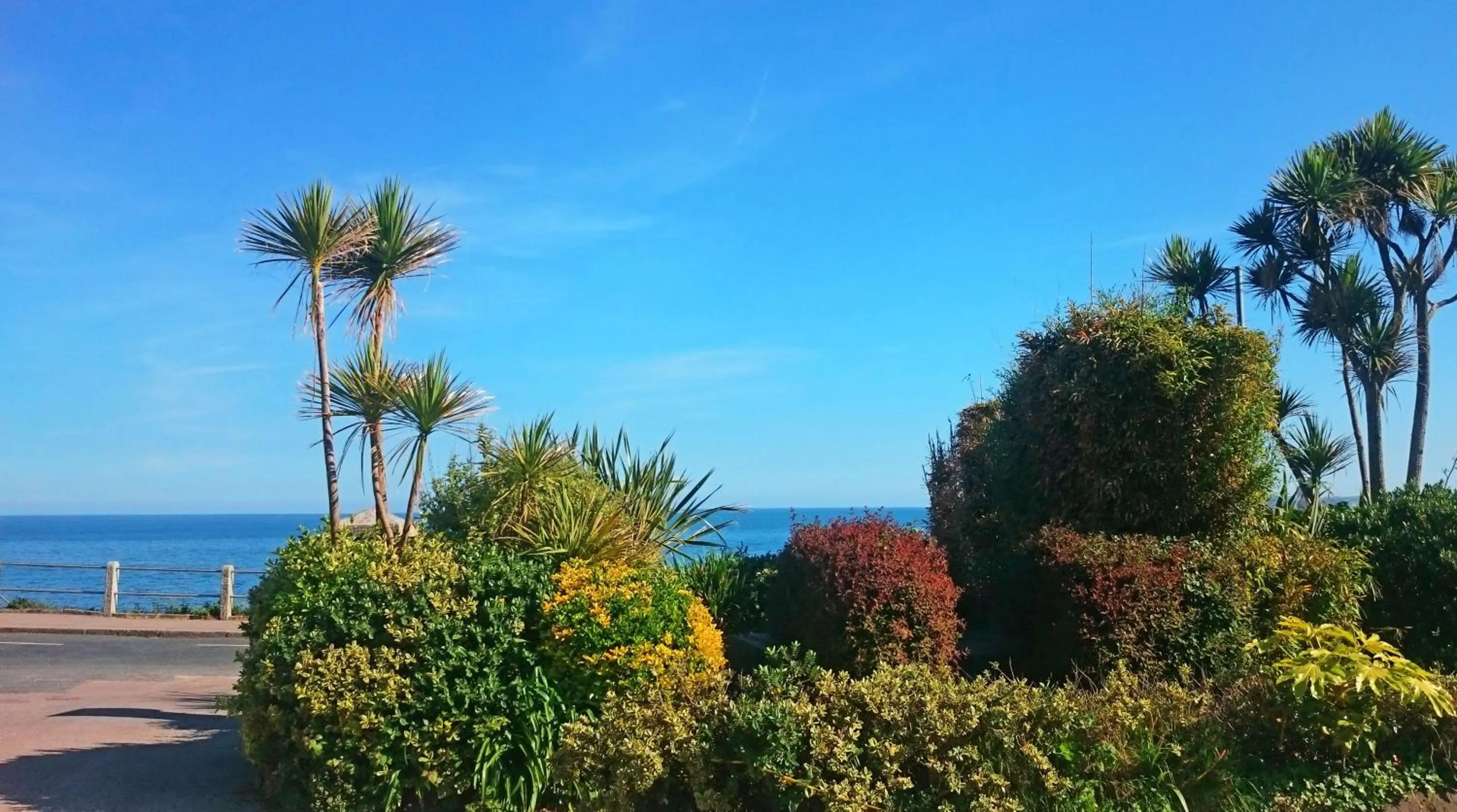 Sea view in Falmouth Self Catering Lodges