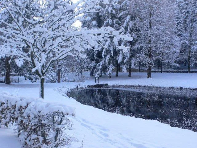 Winter in Hotel Sieweburen