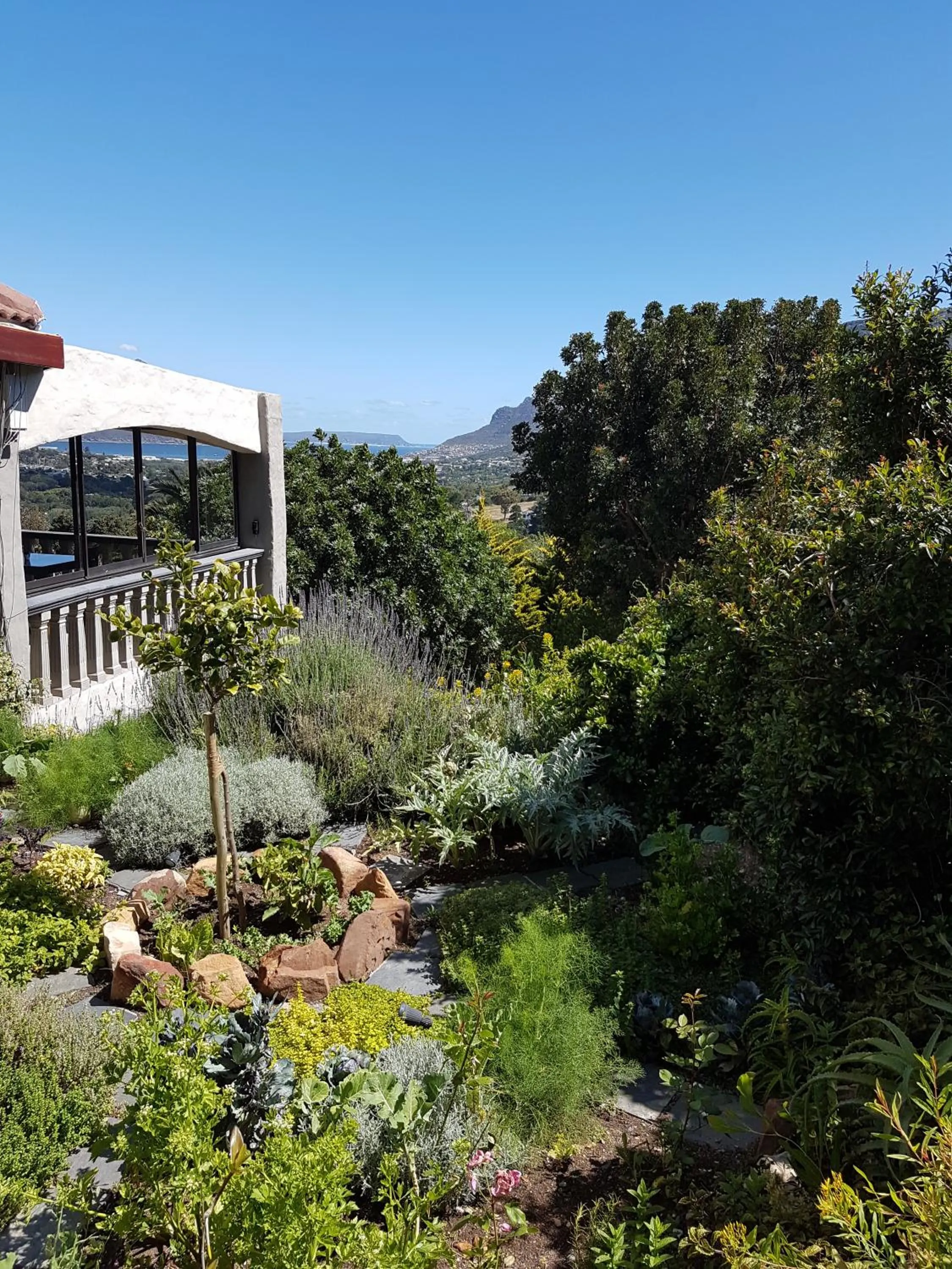 Garden view in Victorskloof Lodge