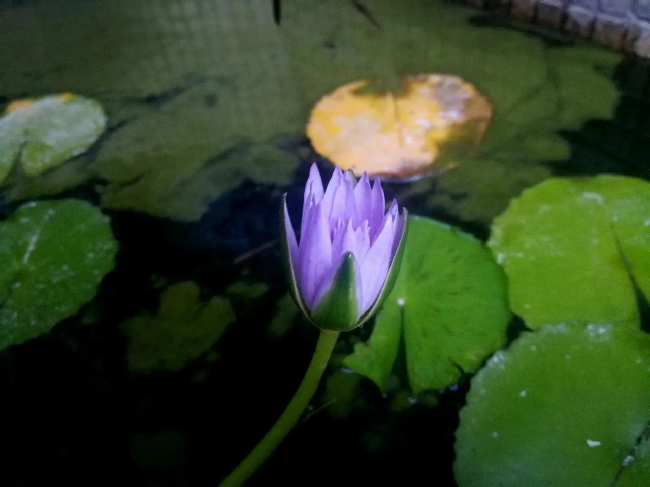 Decorative detail in Victorskloof Lodge